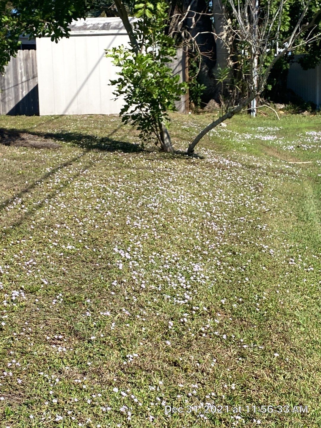 Venice, FL 6ft. Tall White Vinyl Privacy Fence  by Asap fence and gates, LLC