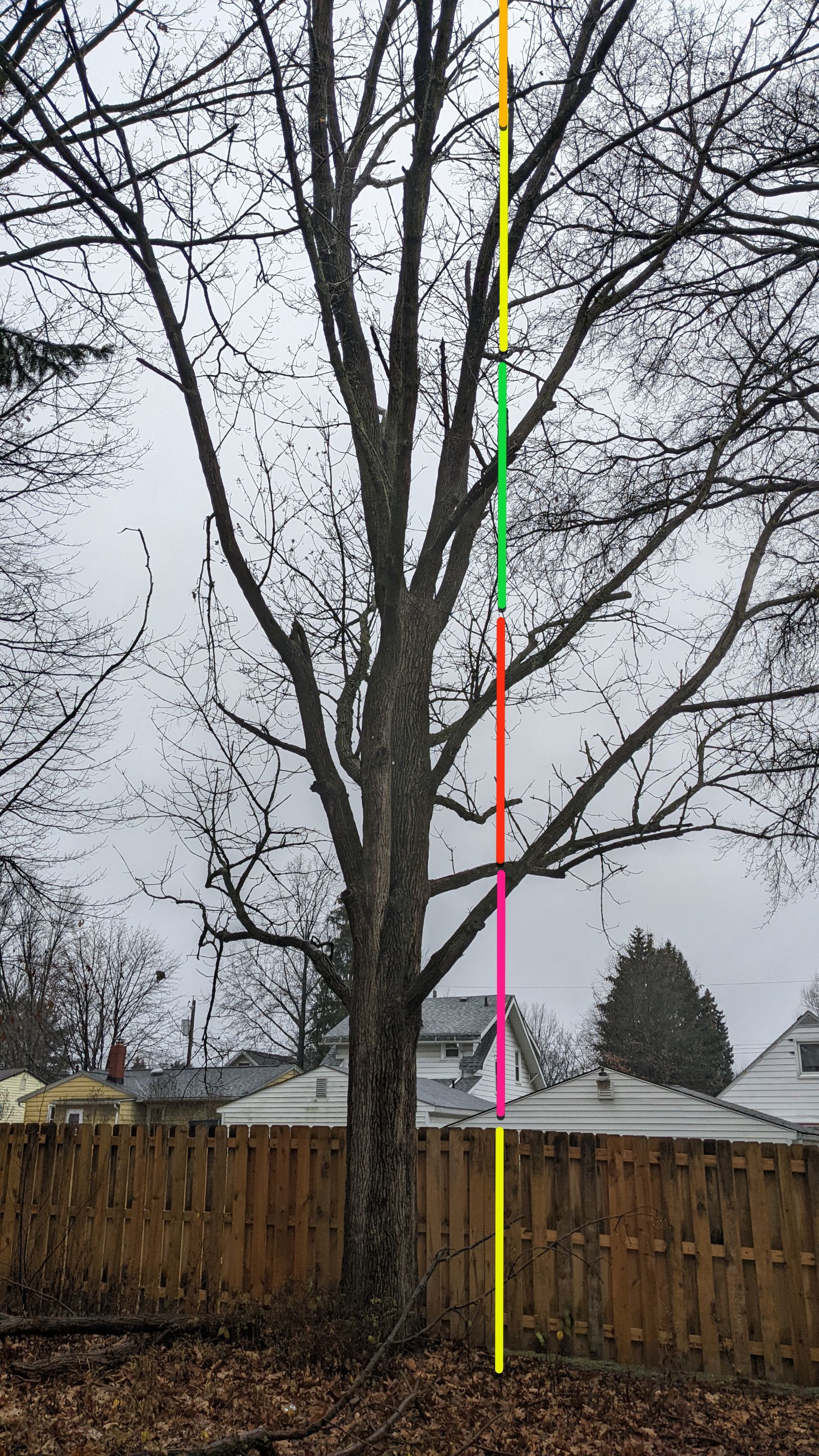 Tree Removal using Tree Removal by Mike Jones & Sons Tree Service LLC 