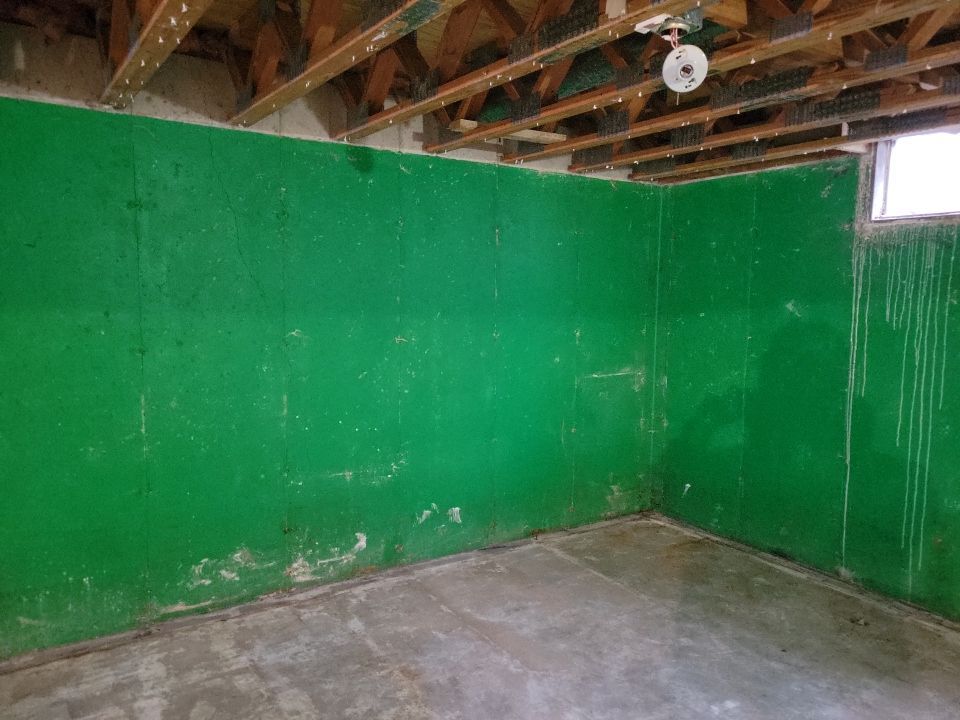 Grossly Contaminated Basement Mold by Chicagoland Water Medics