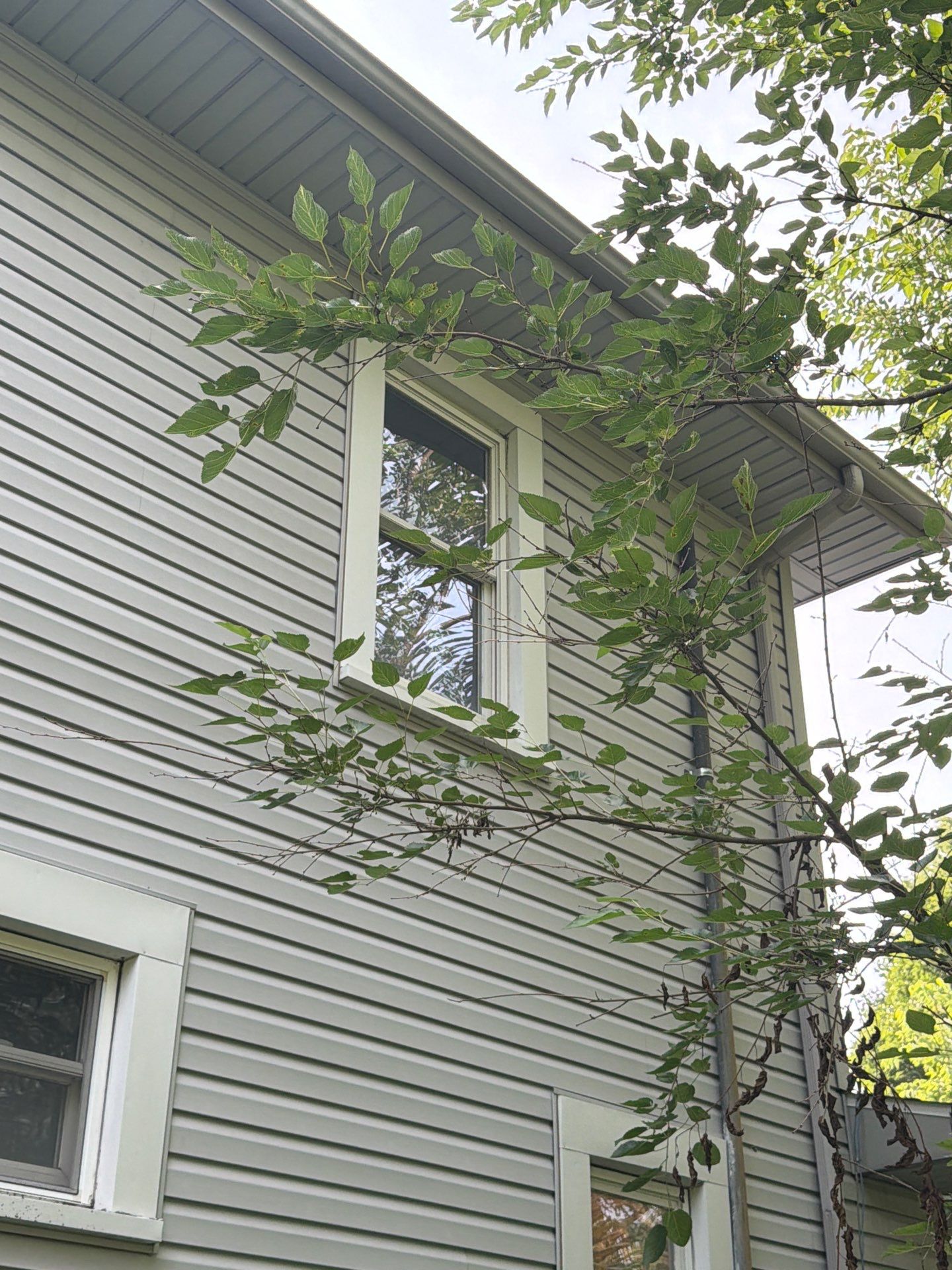 15 Window Project - Huntington, IN 46750 by Window World Of Fort Wayne