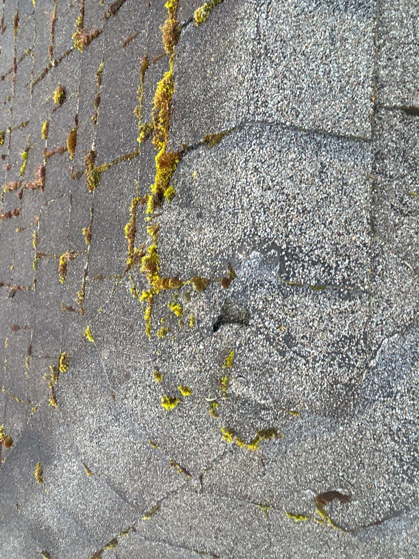 Project in Mill Creek by Connolly Construction Company