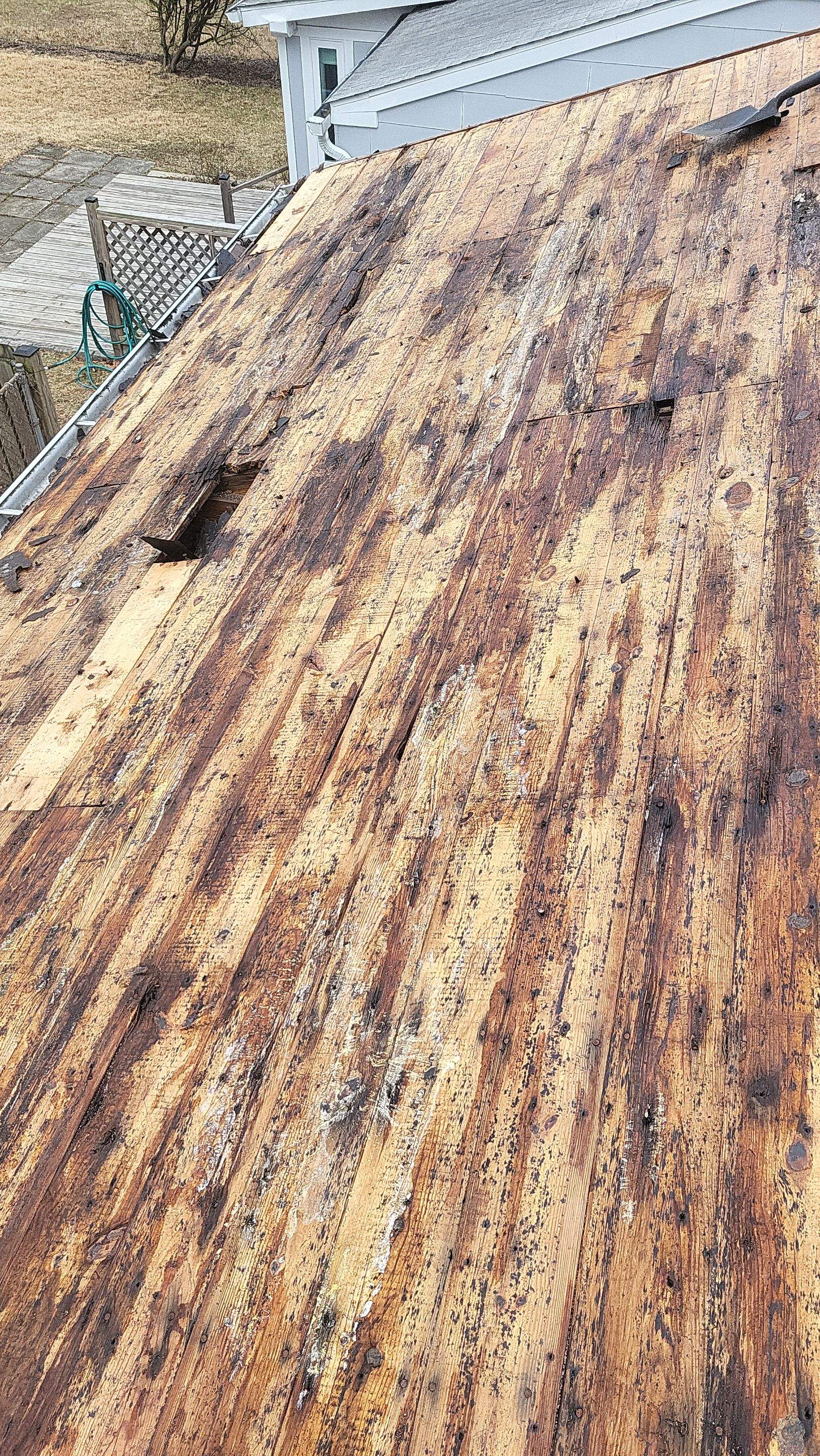Berwyn Heights MD Roof Replacement by ARCH Exteriors