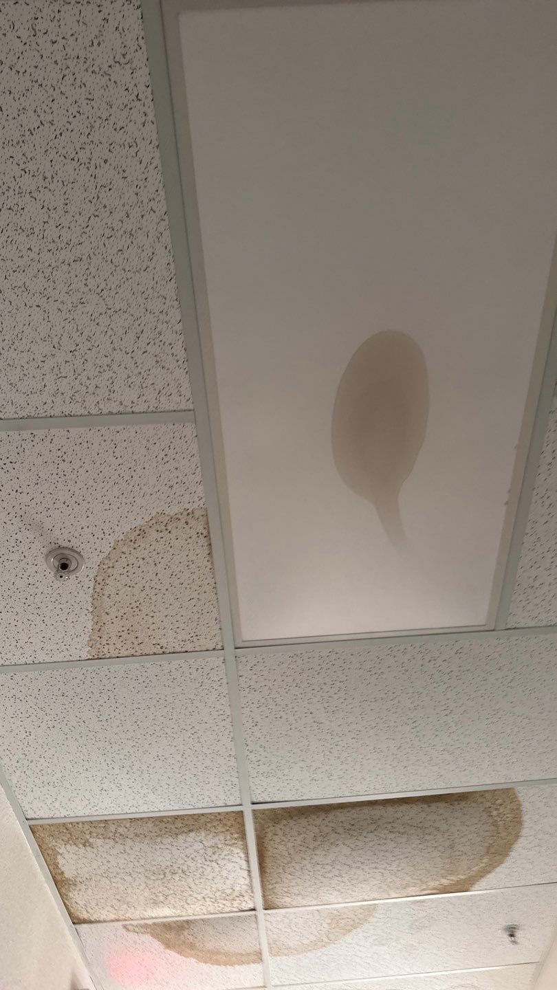 Project by NuLead Construction Inc by NuLead Construction Inc