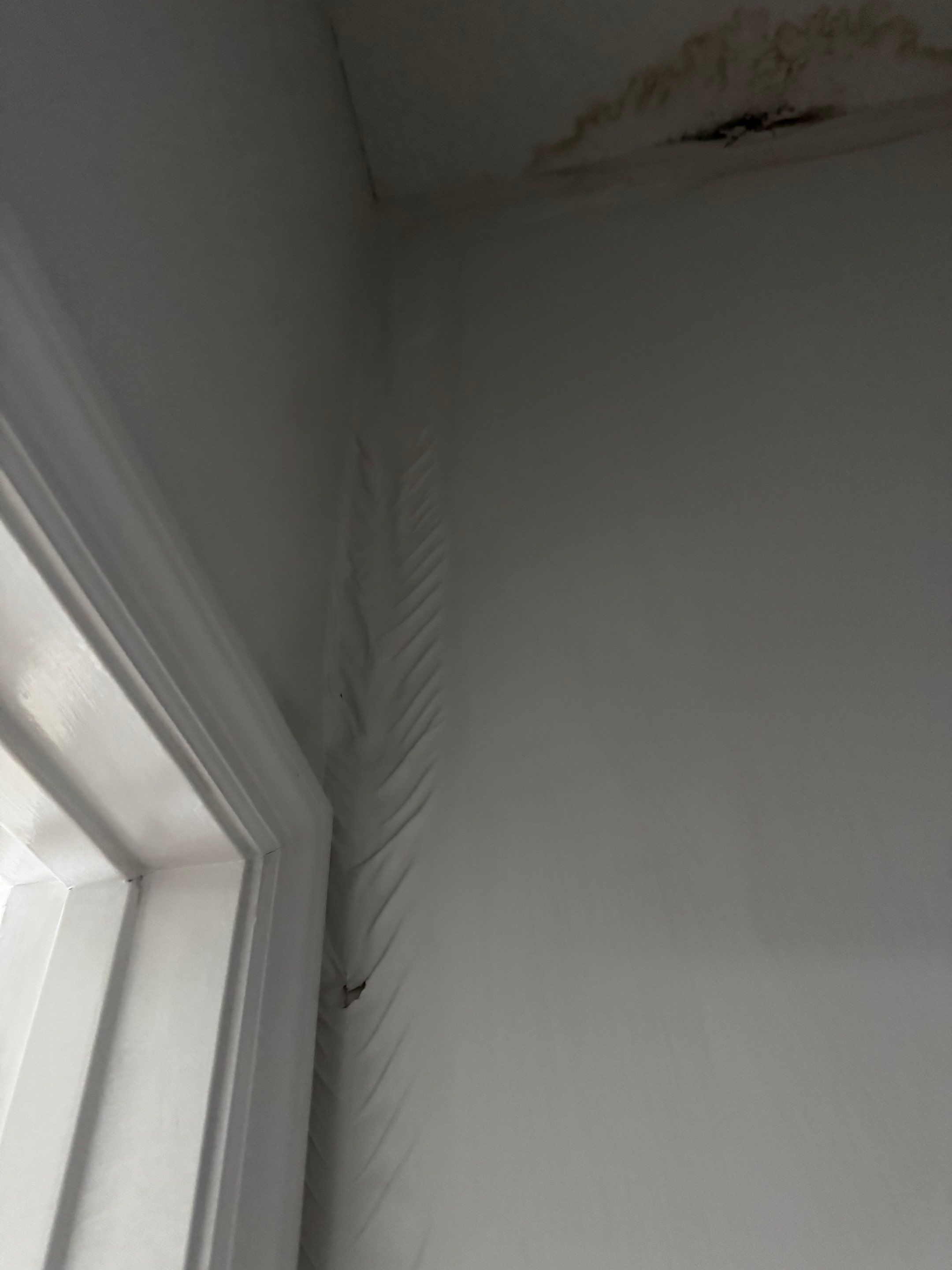 Project in Hinesville by Serene Construction