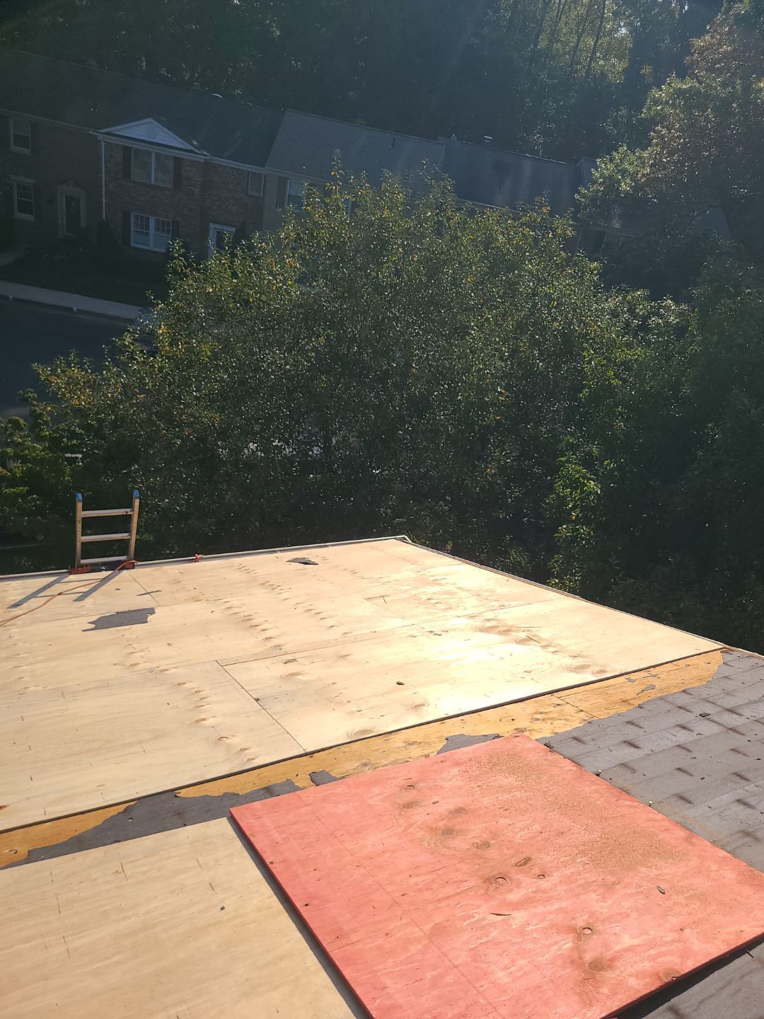 Springfield: Roof Replacement with Landmark Pro Designer Shingles in Max Def Shenandoah by RM Banning, Inc.