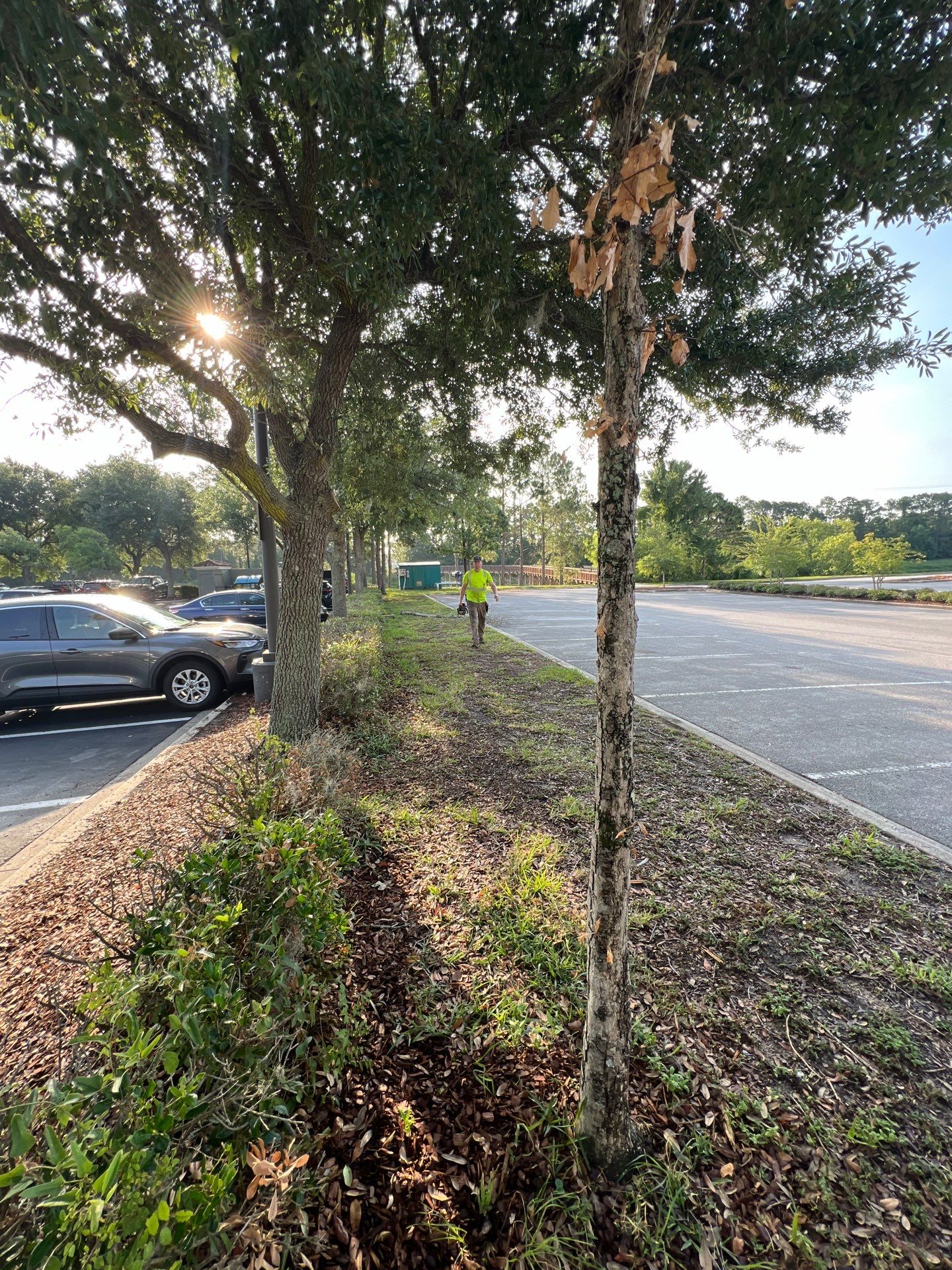 Homewood Suites | Tree Service by ProGreen Services