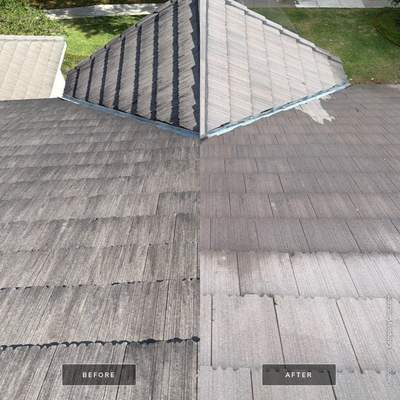 Flat Tile Roof Cleaning