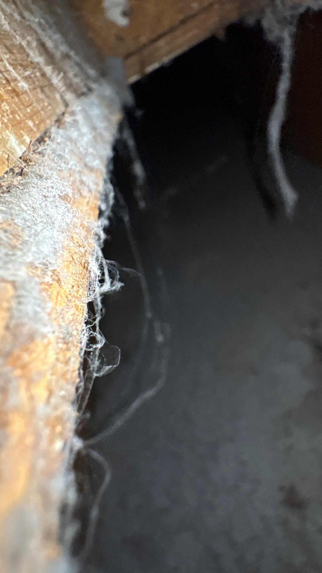 Comprehensive HVAC Air Duct System Cleaning in Beaver Falls by Superior Air Duct Cleaning