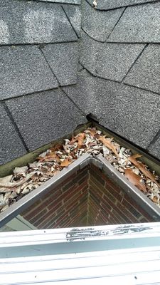 Turtle Shell gutter protection installation in Batavia, IL 60510, photograph 12