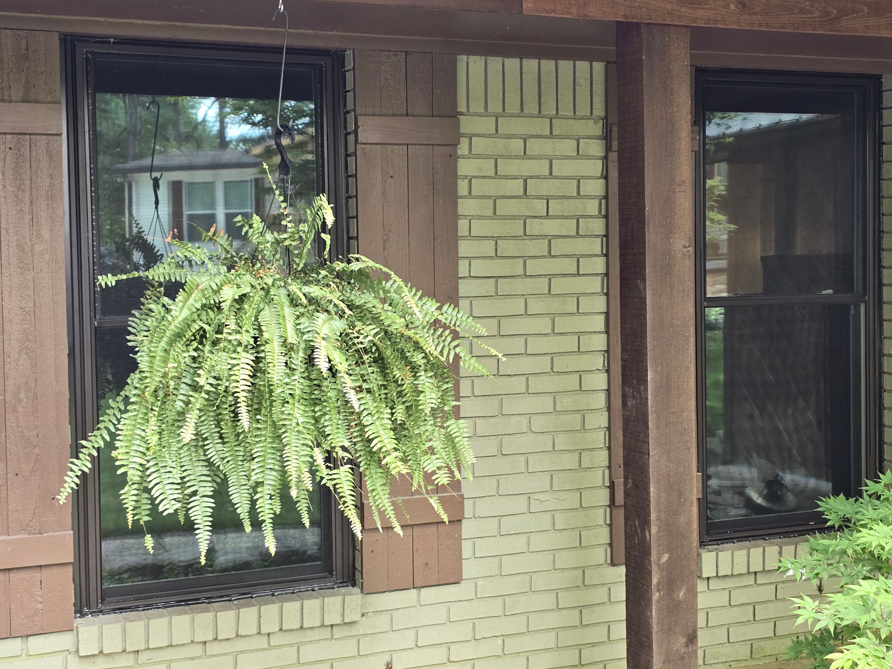 Reed Project in Chelsea by The Window Source