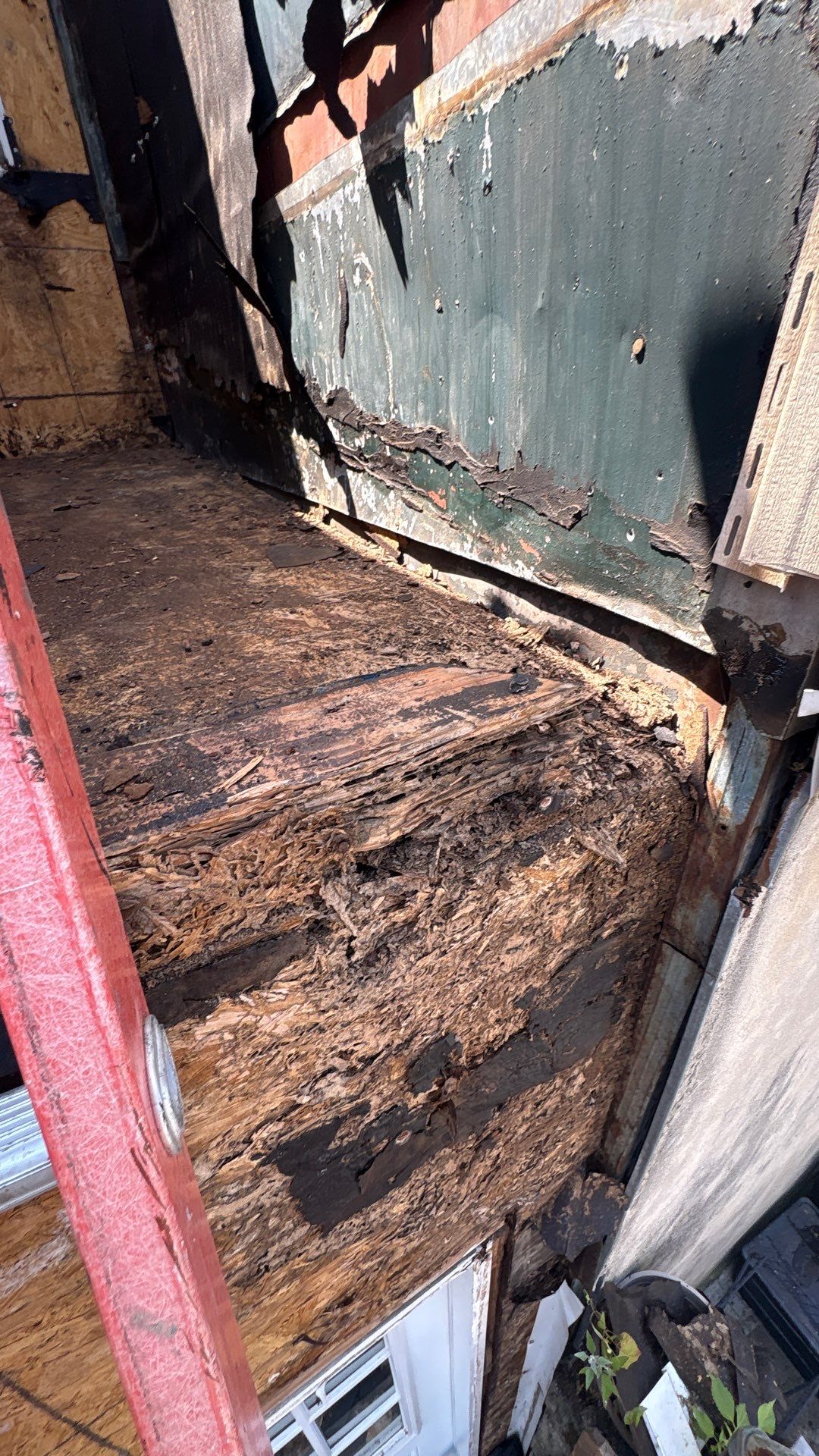 Back Wall Siding Replacement & Breezeway Roof. by Philadelphia Quality Roofing