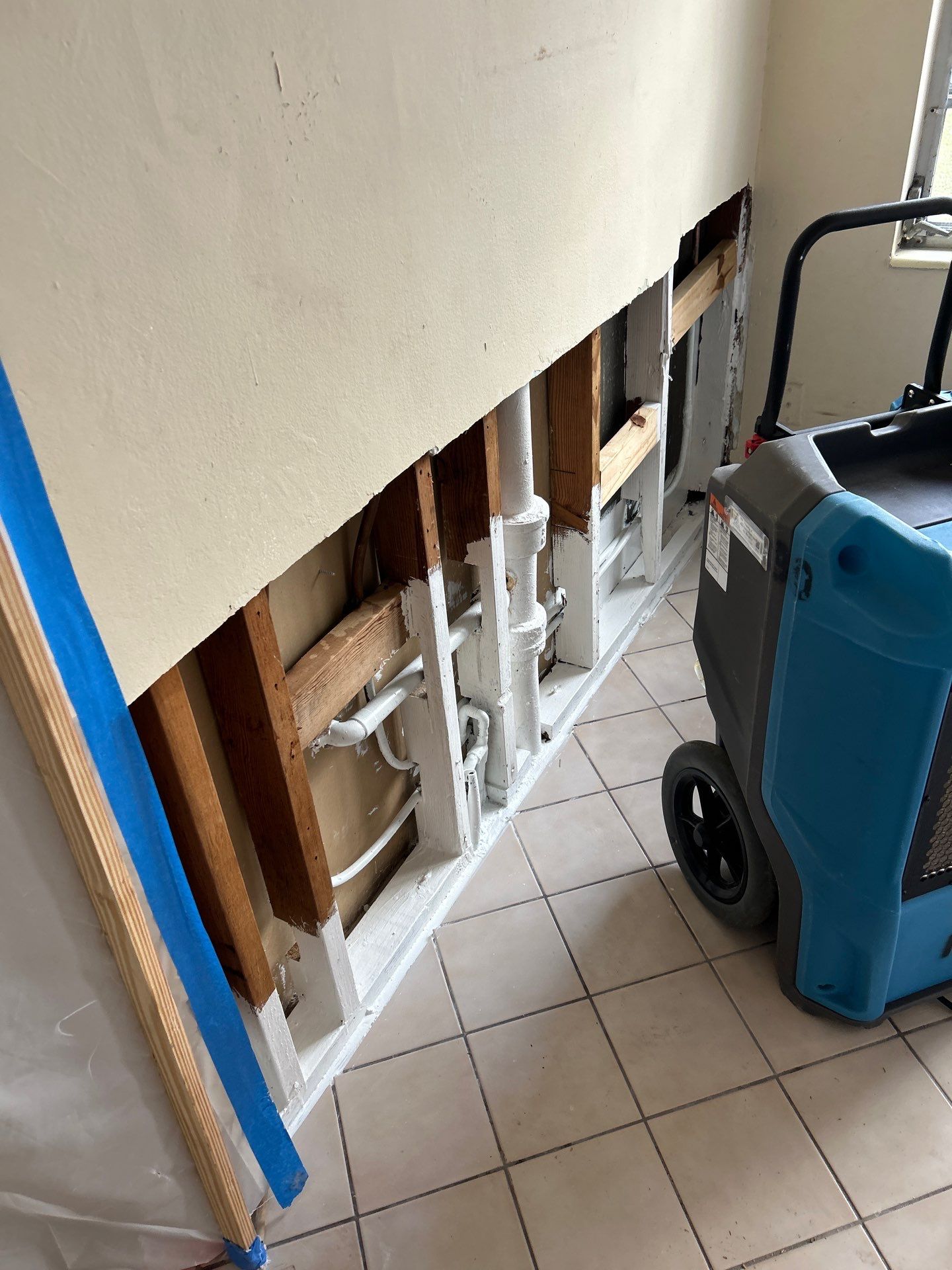 Mold Remediation  by THE RAPID TEAM