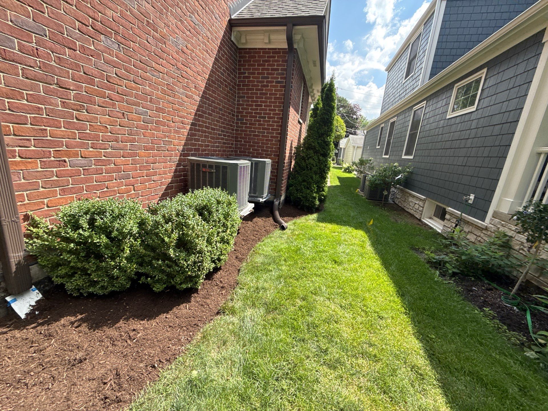 Jason G. - Arlington Heights, IL by A&N