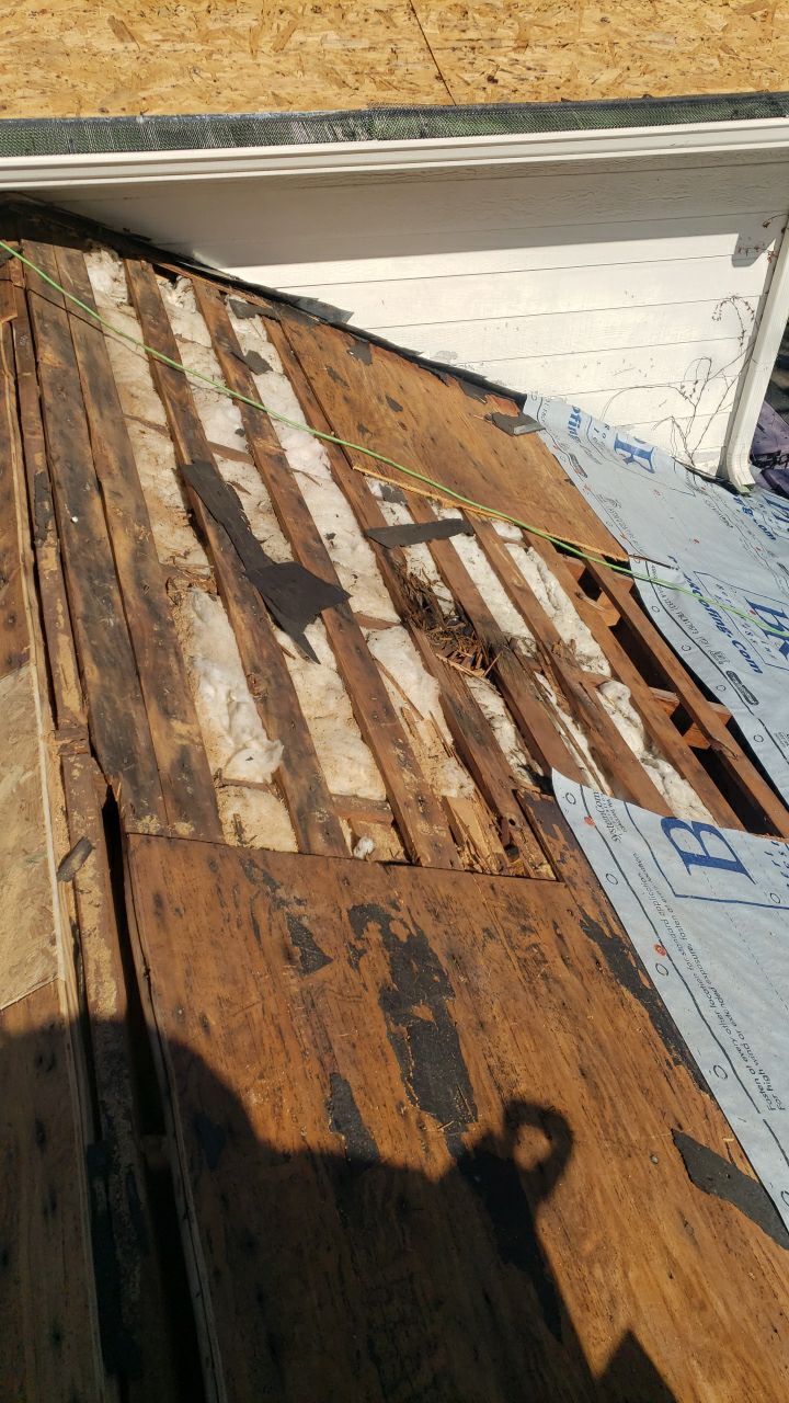 East Dallas Roof Replacement with Owens Corning Duration Shingles by Bert Roofing Inc