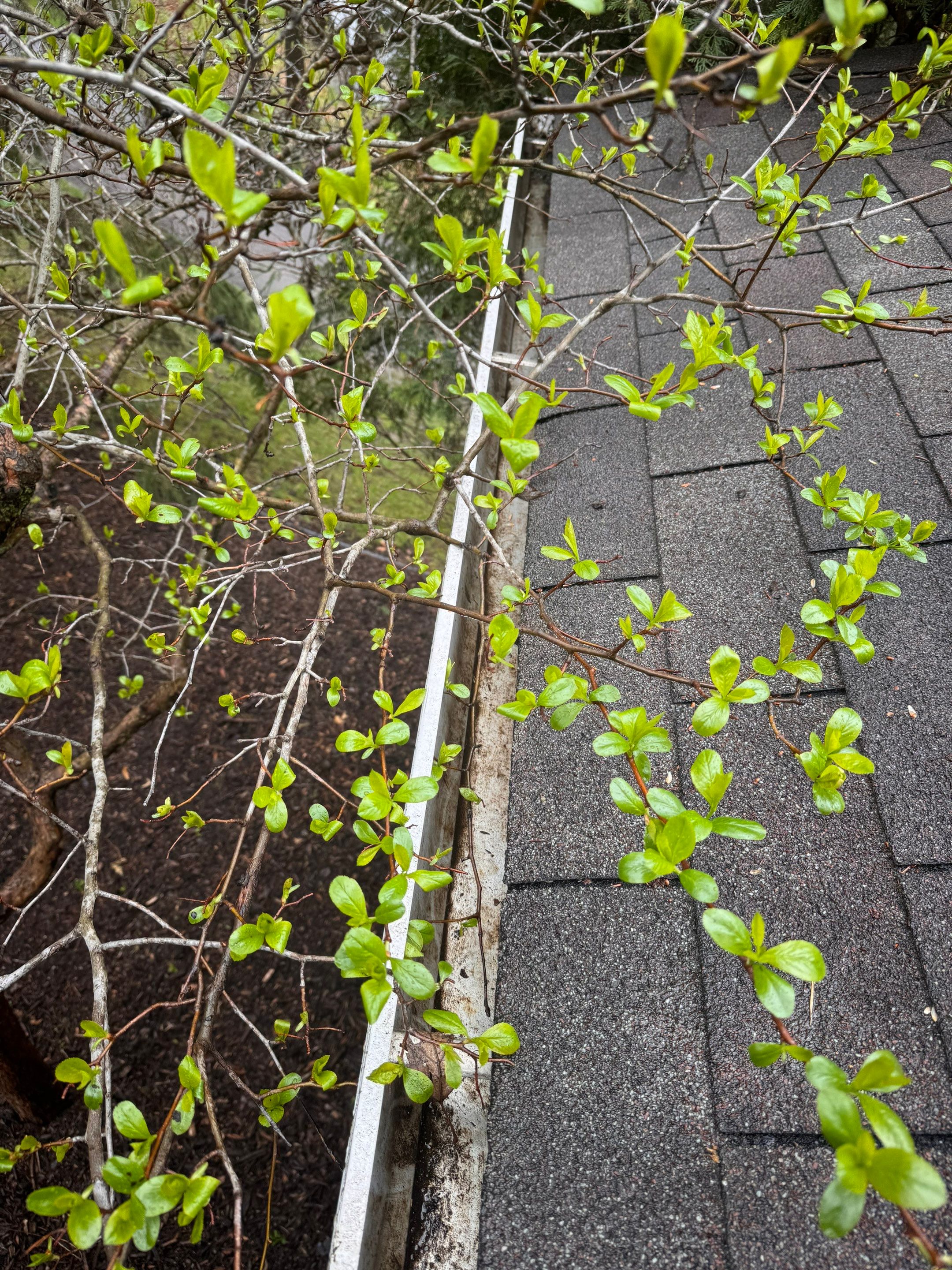 Commercial gutter cleaning Minneapolis & St. Paul, MN after photo with clean gutters