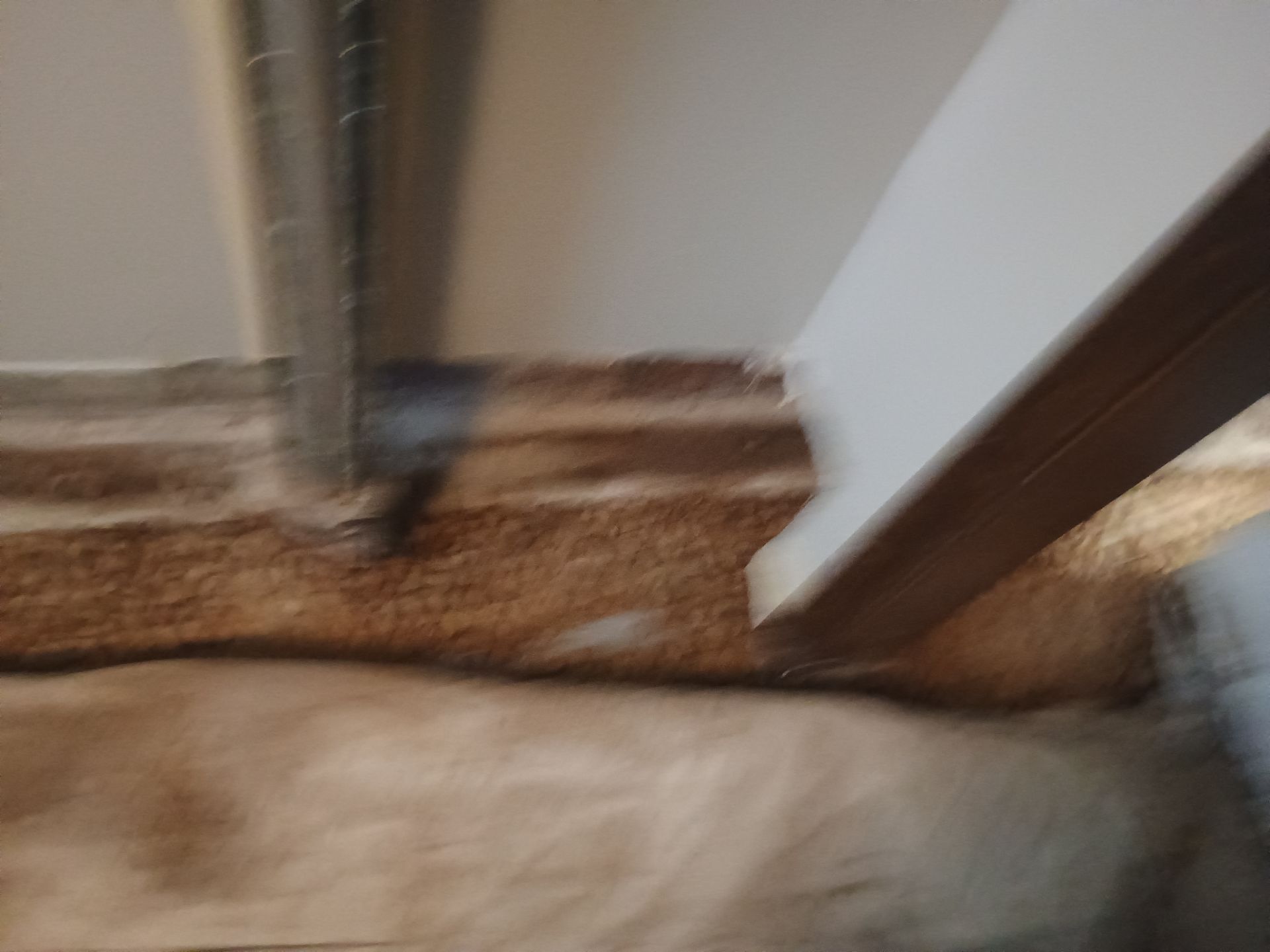 Drain Tile & a Sump Pump for our Property Management Partner by Waterproofing Northeast