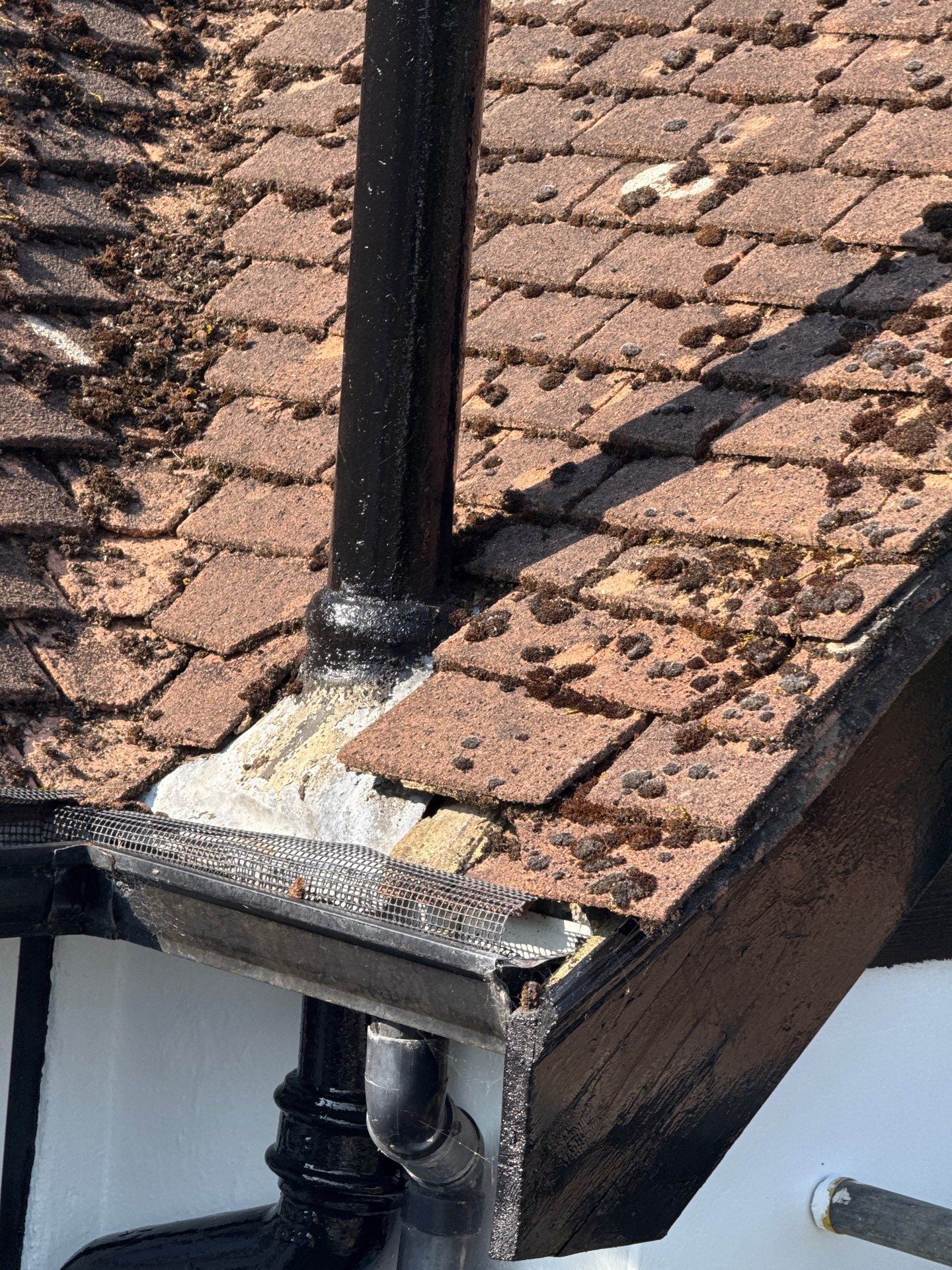 Roof Clean - Gutter Clean - Biocide Treatment by Ges Exterior Cleaning ltd
