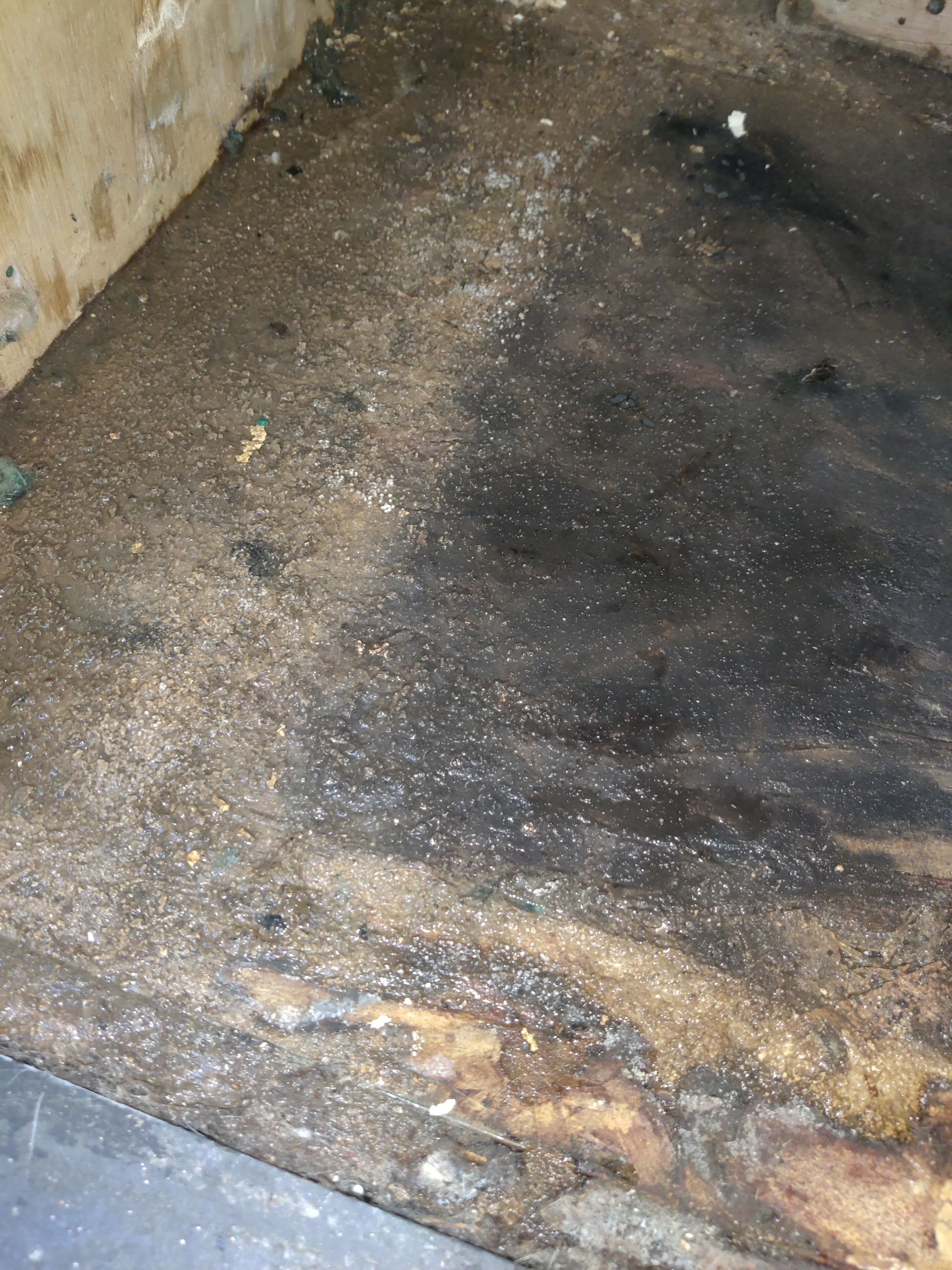 Mold Remediation using Containment by Accountable Home Services