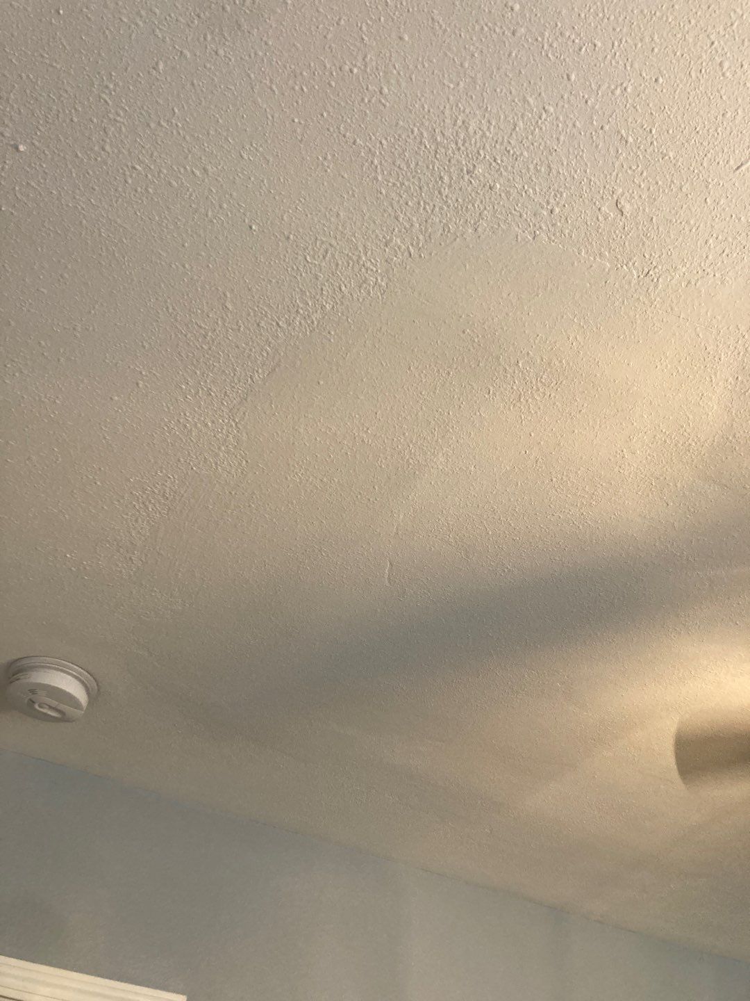 Large Ceiling Drywall Repair by Andre Handyman