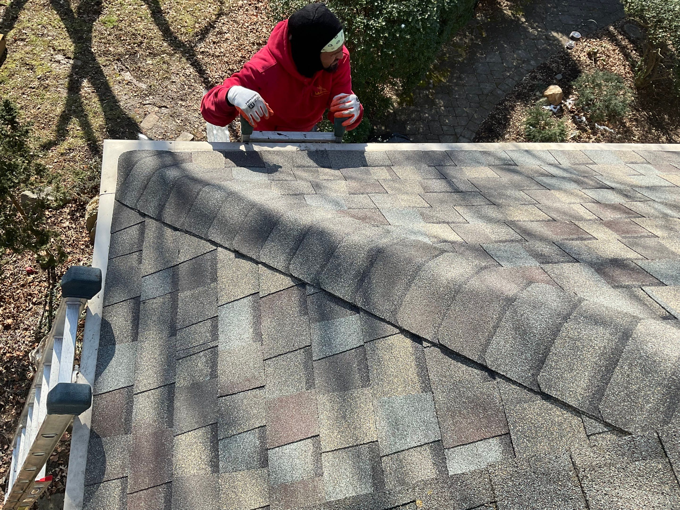 Install new shingles and new skylights  by Alpha Design Services