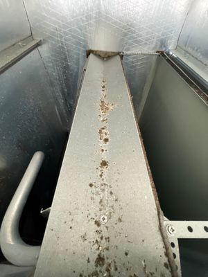 Air Duct Source Removal — Clermont