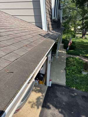 Turtle Shell gutter protection installation in Naperville, IL 60565, photograph 12