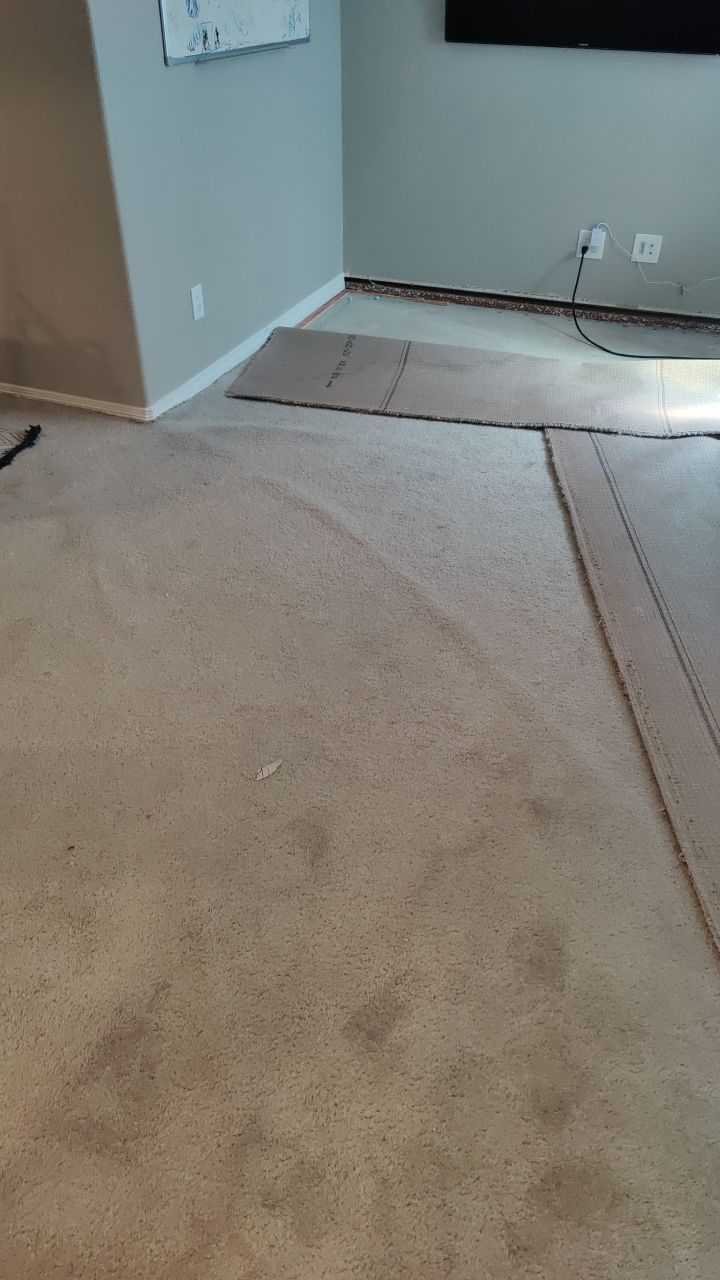 Mold Remediation  by Accountable Home Services