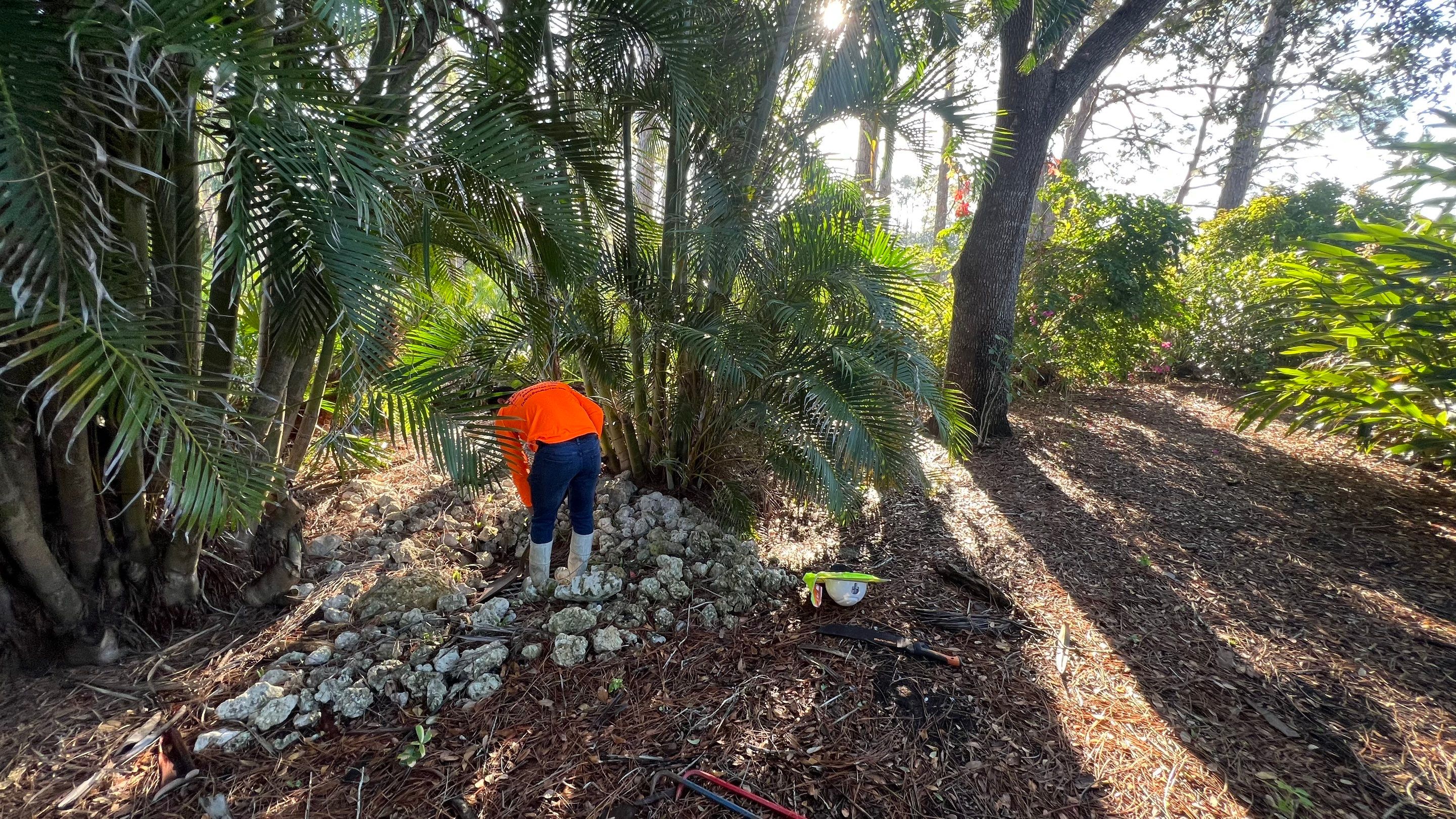 Neighborhood Catch Basin Cleaning by APS Power & Water