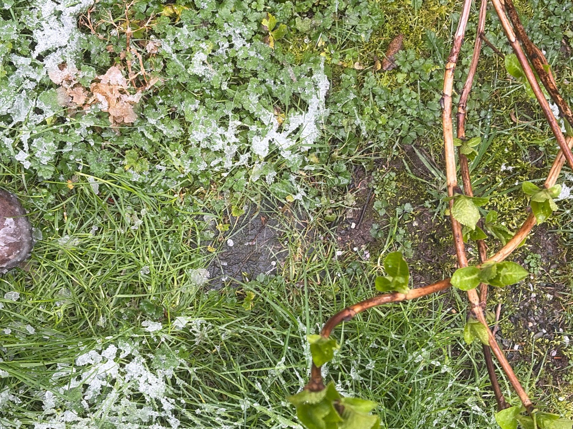 Roof in Lake Stevens by Connolly Construction Company