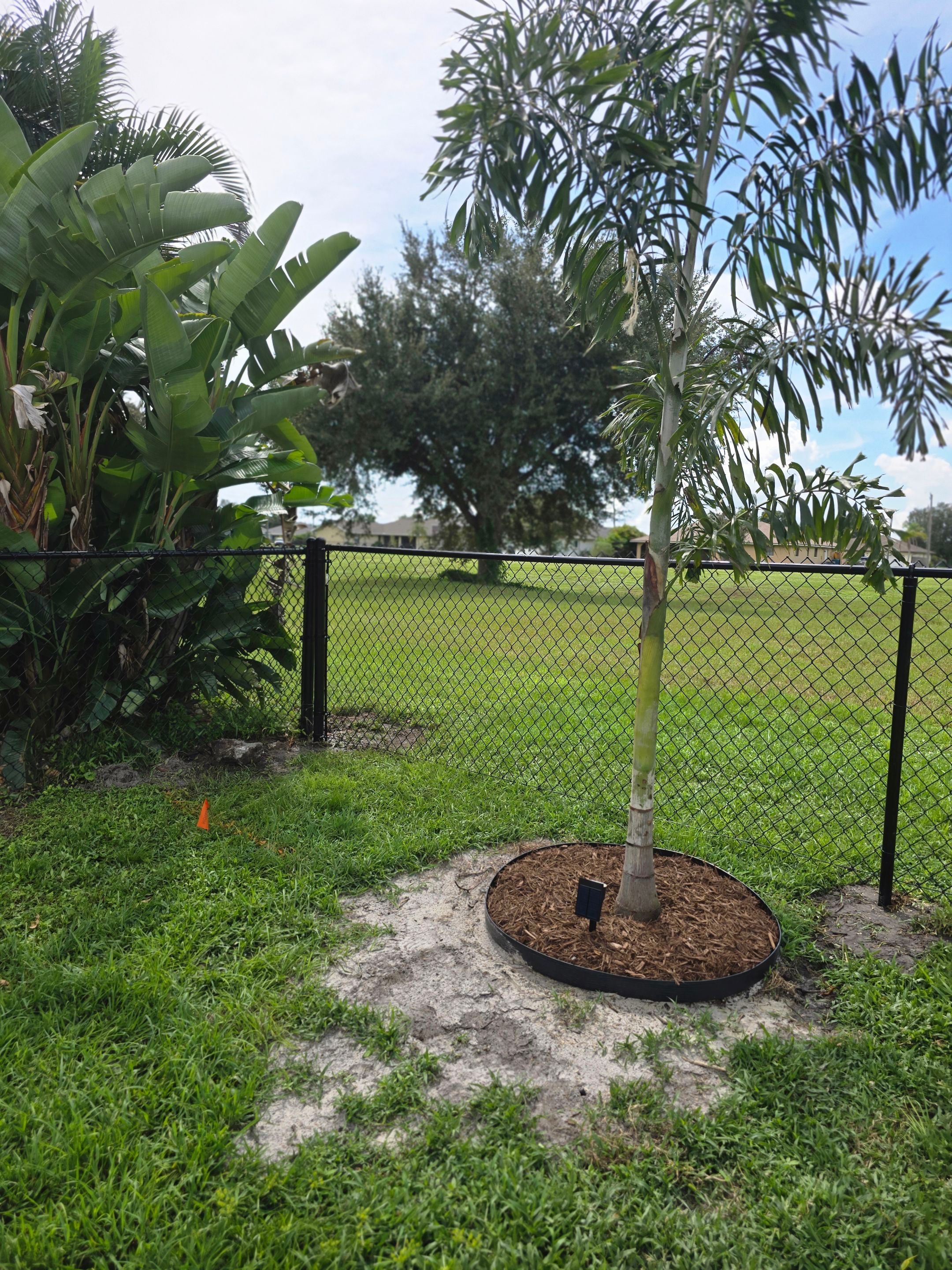 Black Vinyl-Coated Chain Link Fence Installation in Punta Gorda by True Fence LLC