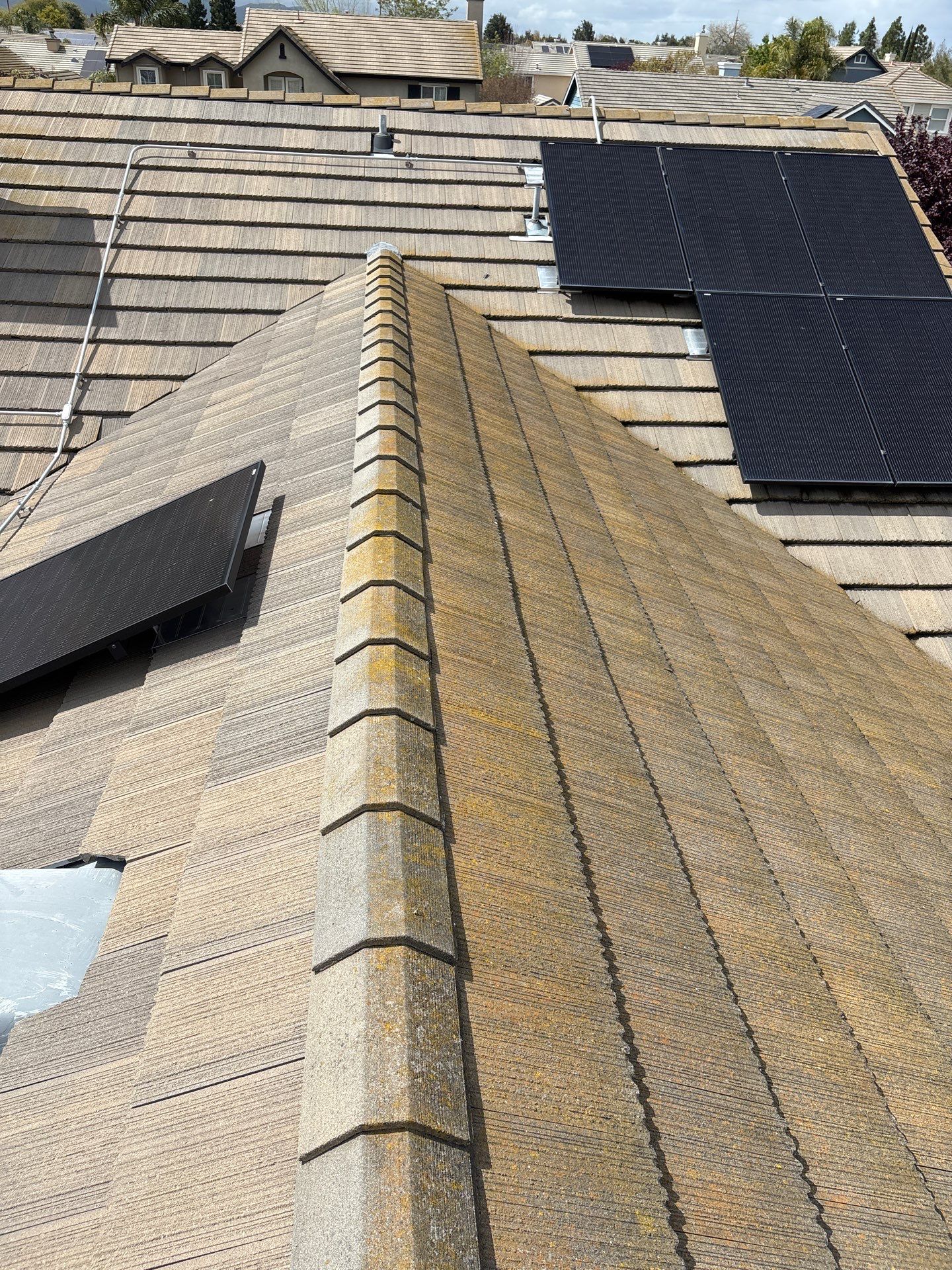 Moss Removal by Top Elevation