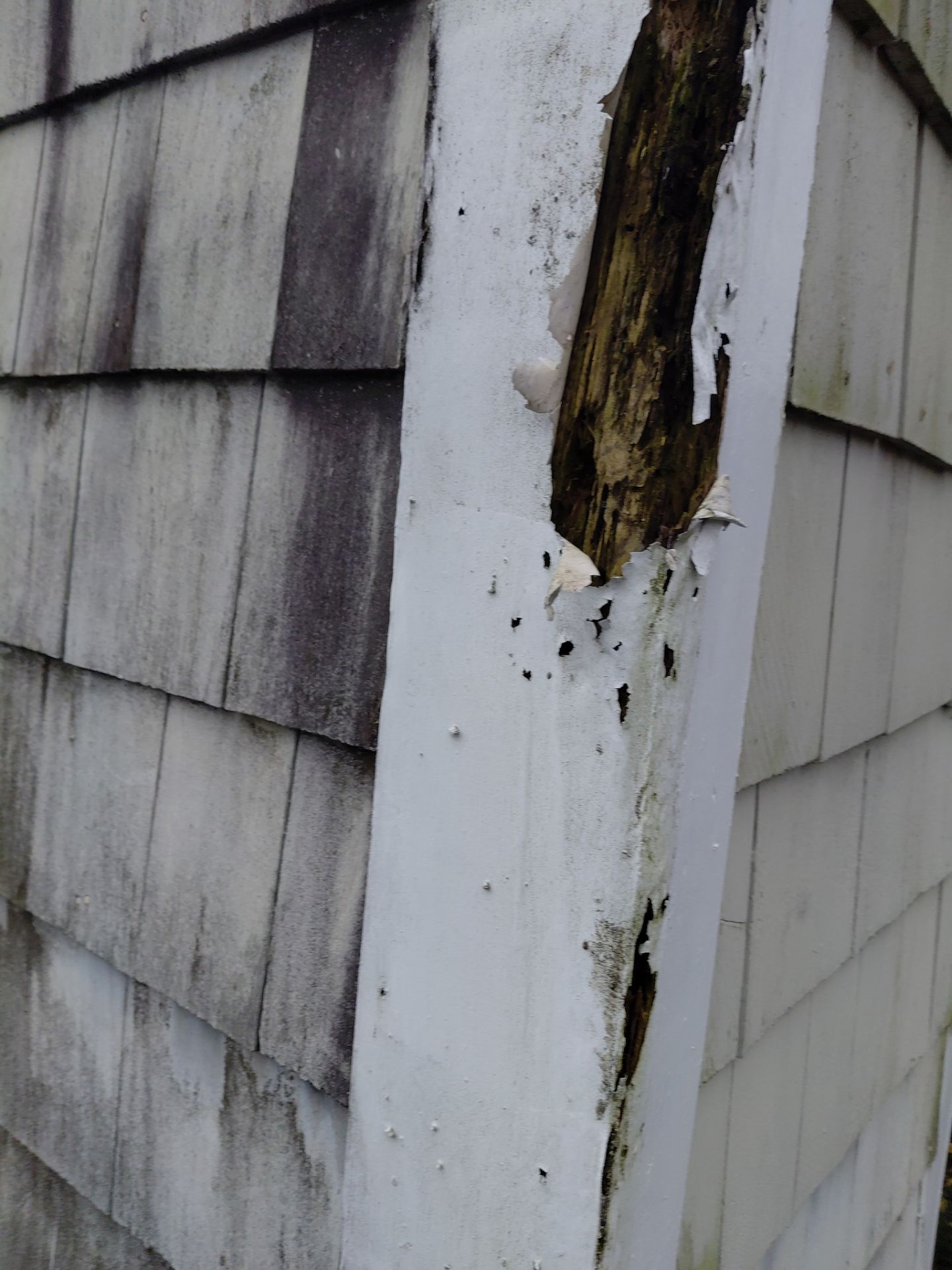 Reston :  Residential Roof Replacement with Brava Synthetic Cedar Shake Class C Natural  by RM Banning, Inc.