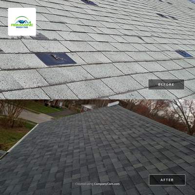 Onyx Black Shingles