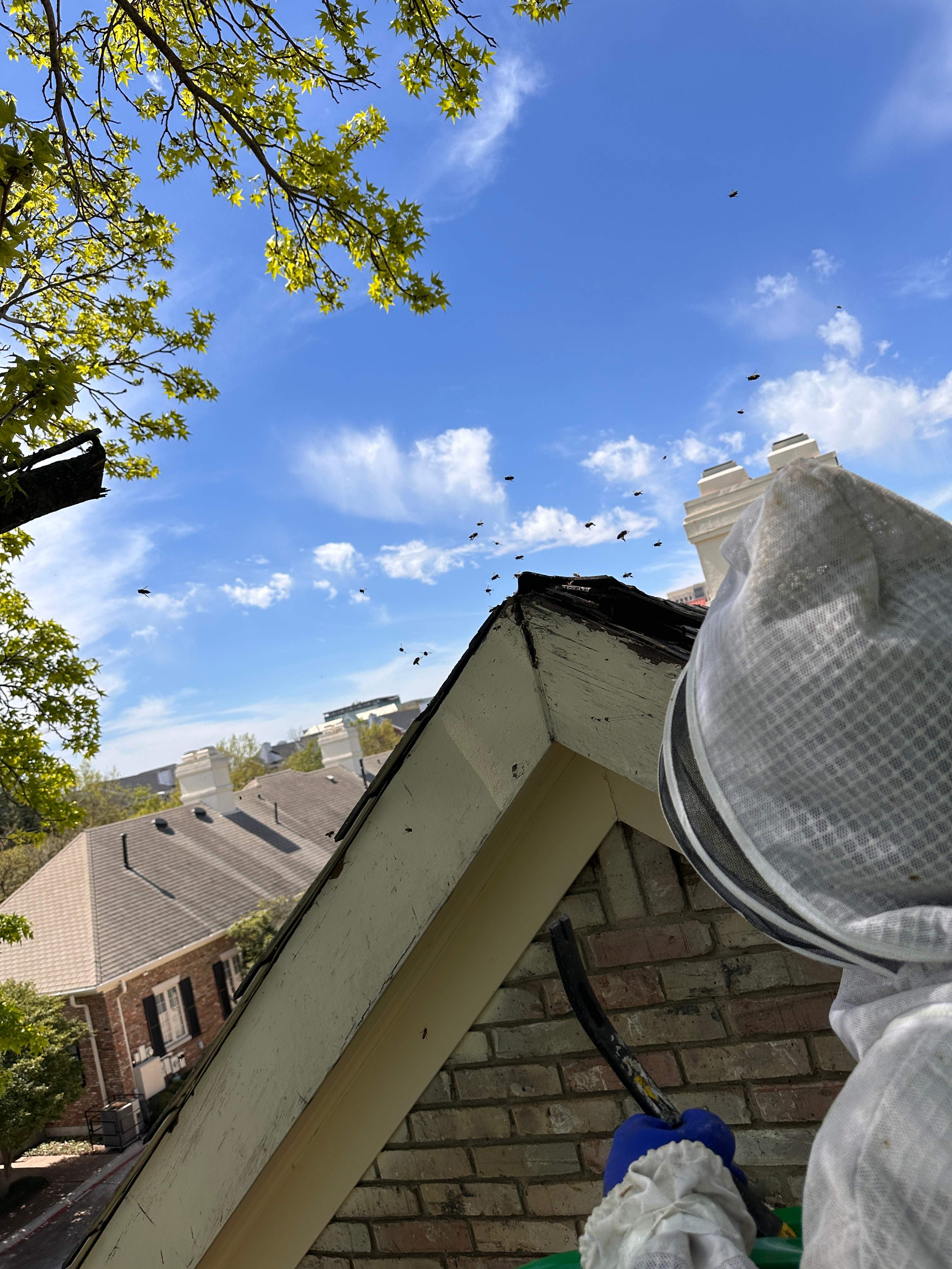 Commercial Roof by Rockwall Honey Bee Company