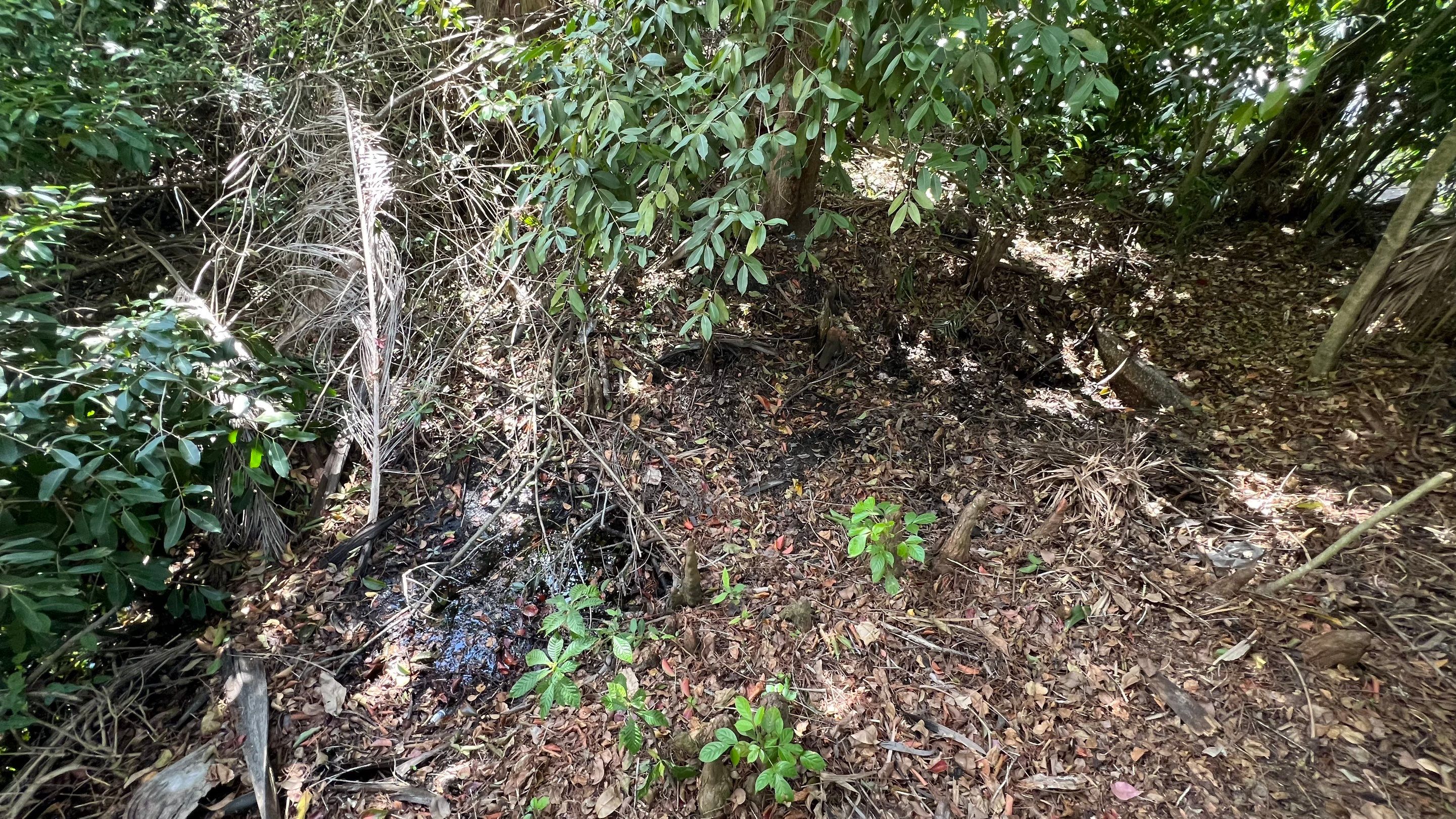 Naples Community Storm Water System Maintenance by APS Power & Water