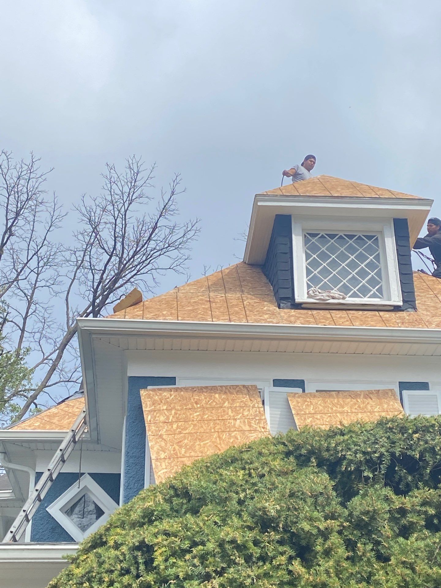 New Roof Install using Tamko Titan in NW Washington, DC by Storm Ready Exteriors