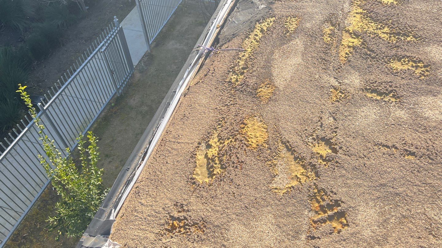 Foam Refurbish using Conklin Benchmark/PUMA XL coatings and spray foam by Straight Edge Roofing Inc