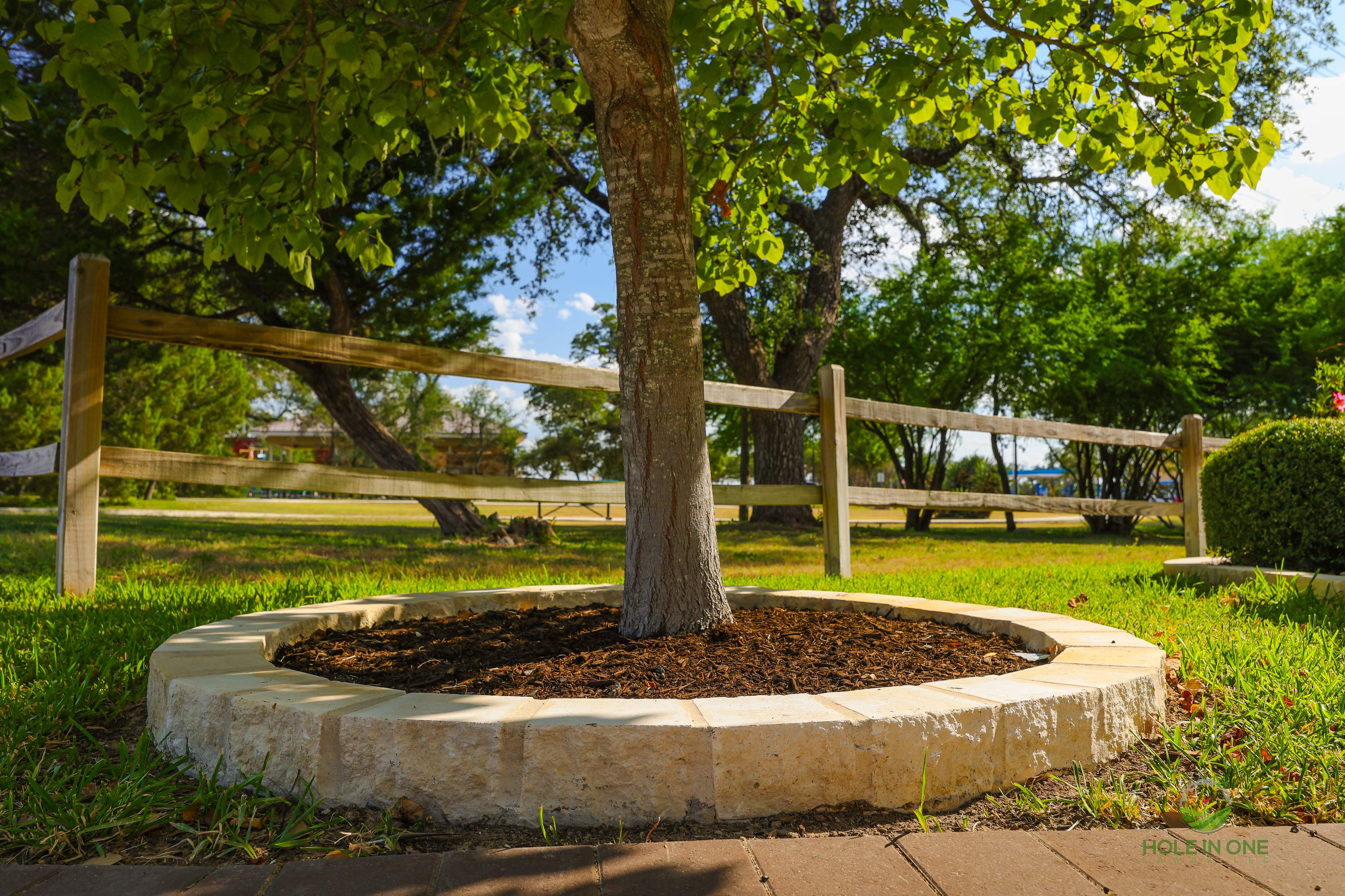 Wortham Oak, San Antonio TX by Hole In One Lawns, LLC