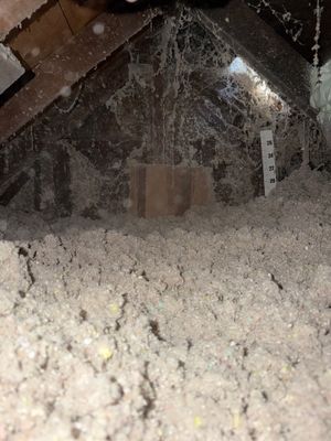 Attic insualtion and removal of Knob & Tube wiring in St. Paul