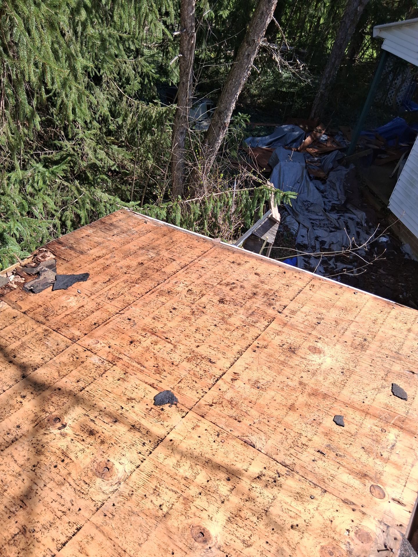 Roof and Gutter Replacement by Homestyle in North Royalton by Homestyle Home Improvements (HHI)