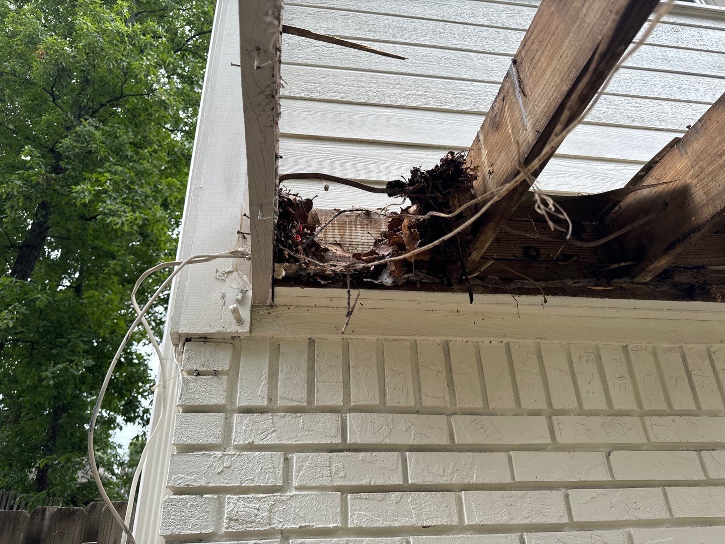 Strawberry - Deck by Pillar and Pine