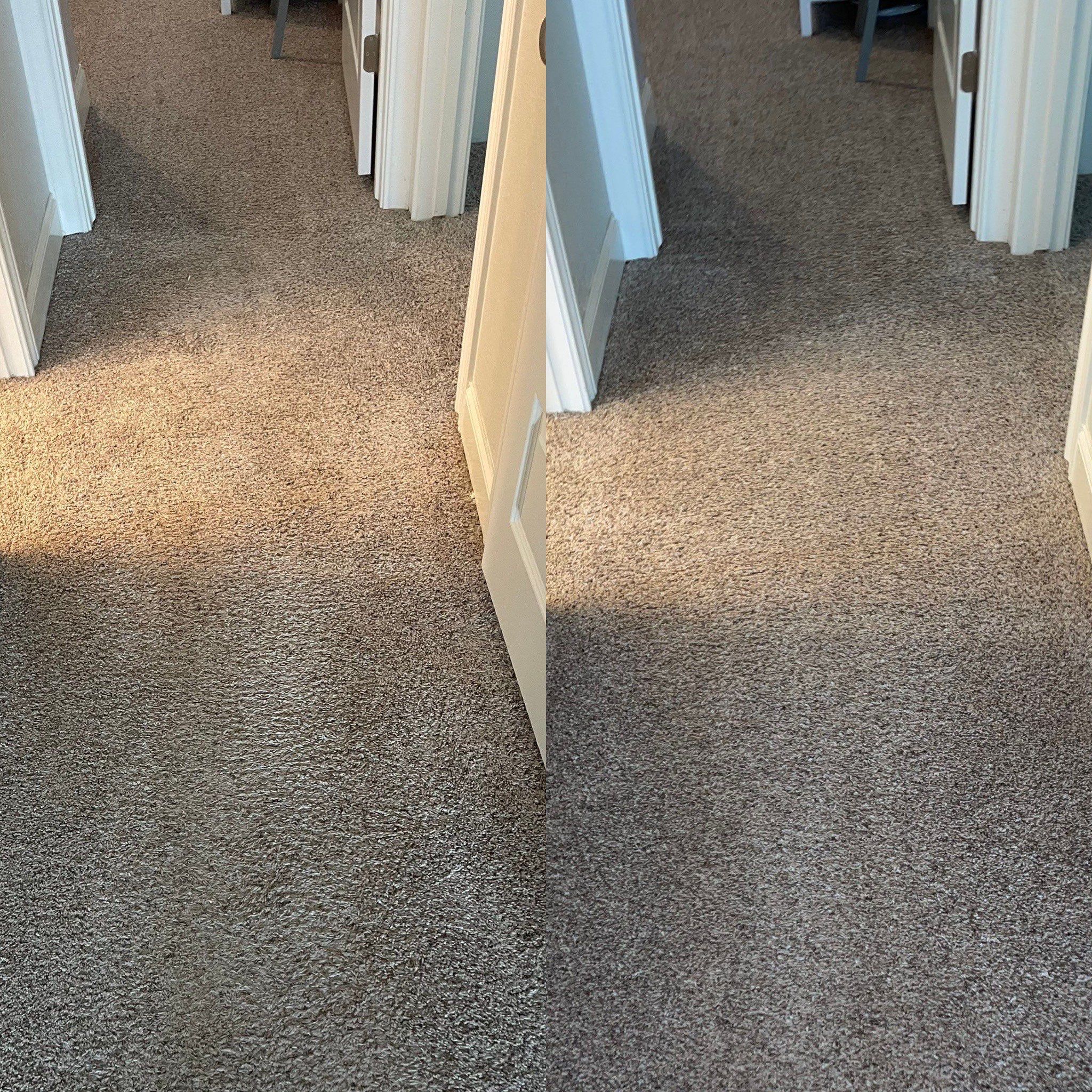 carpet cleaning service restoring and refreshing carpeted hallway removing dirt and stains making it look almost new