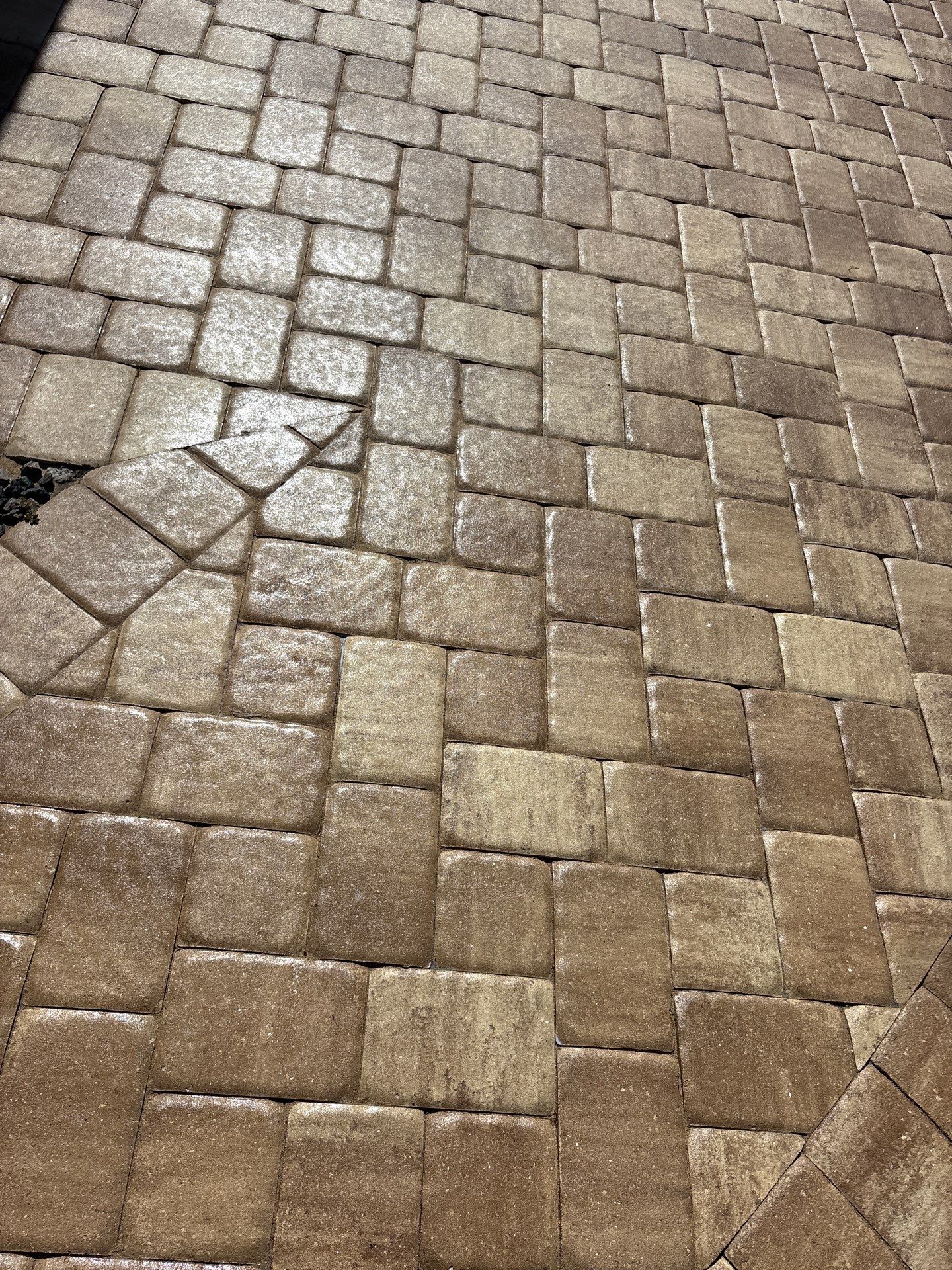 Glossy, 2 Coats Dense Paver  by Wizard Wash