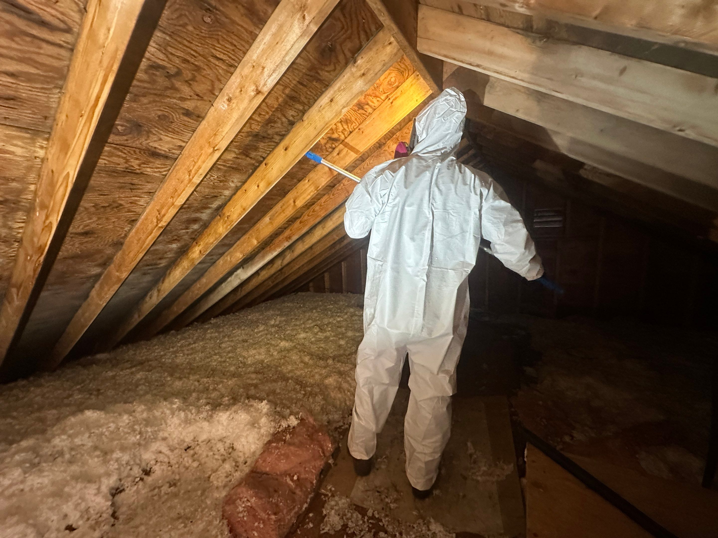 Attic Mold Remediation by Home Guarantee, LLC