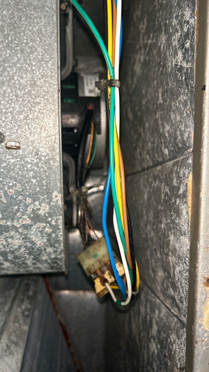 Air Duct Cleaning in Clermont by Hygienic Air, Inc