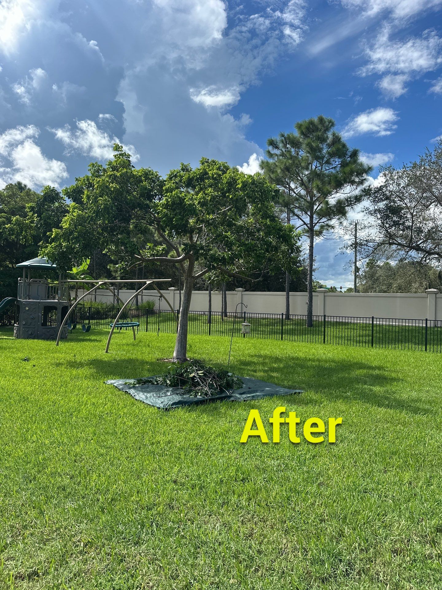 From Overgrown to Picture-Perfect - Stuart Refresh by Alpha Zeta Enterprises Inc