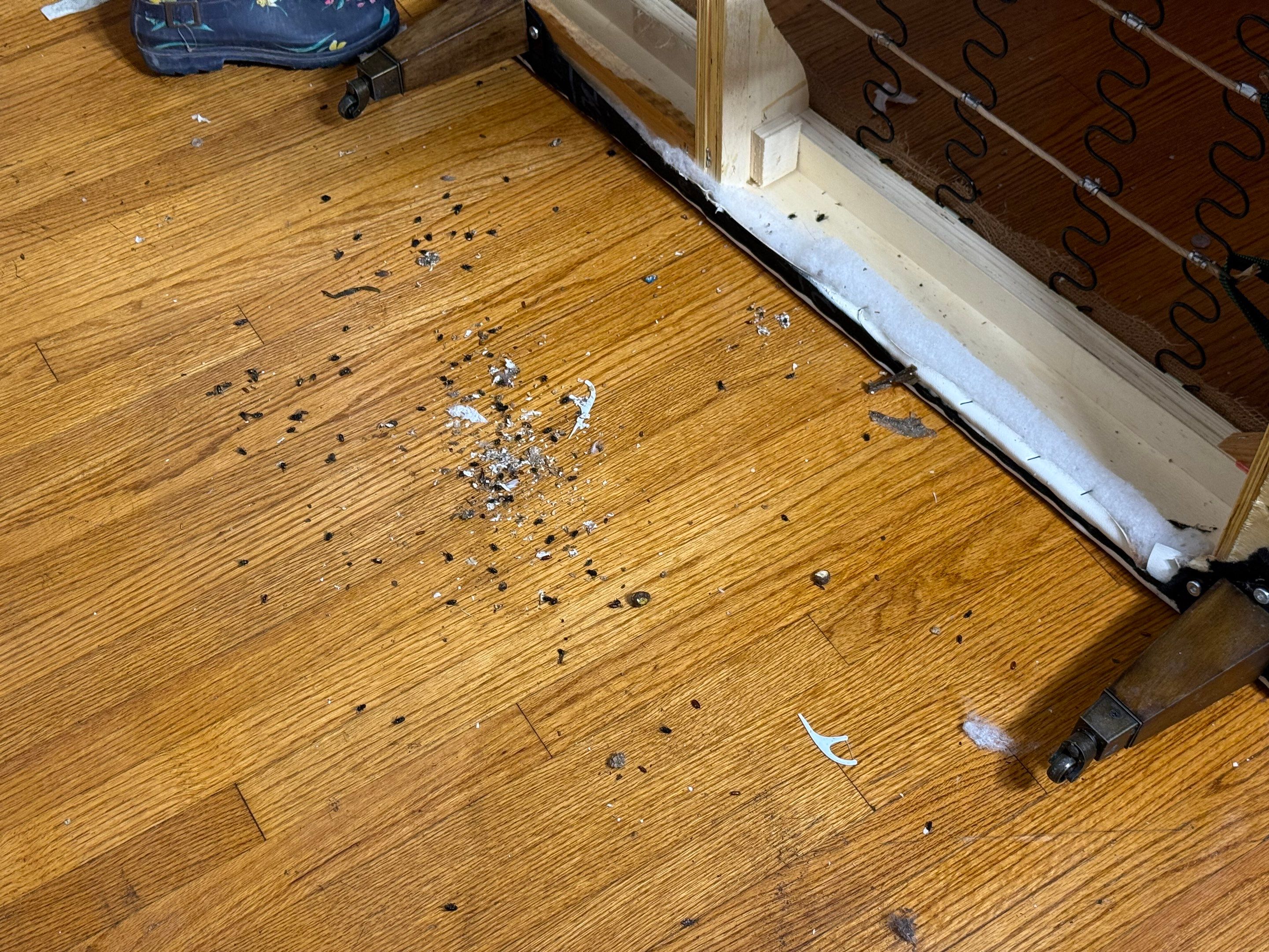 Biohazard, Unattended Death in Madison by Sadie’s Pro Cleaning