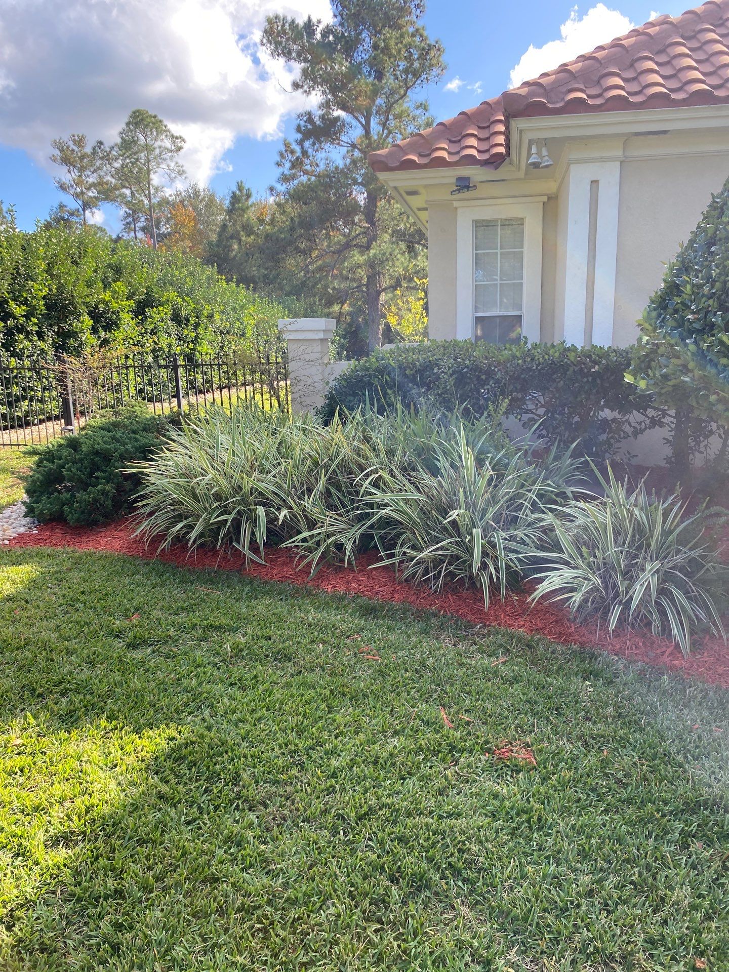 Deerwood Resident | Palm Trimming & Ground Cover by ProGreen Services