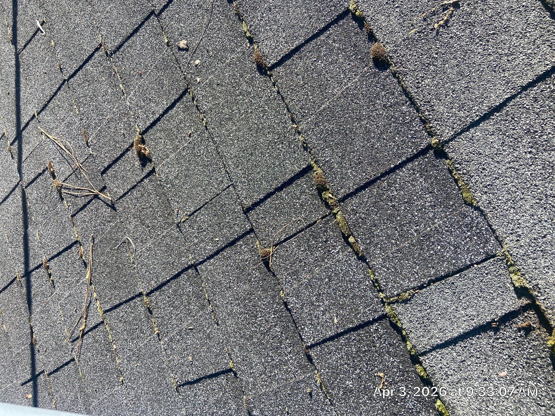 Roof Rejuvenation using Roof Maxx Treatment by Roof Maxx of Folsom