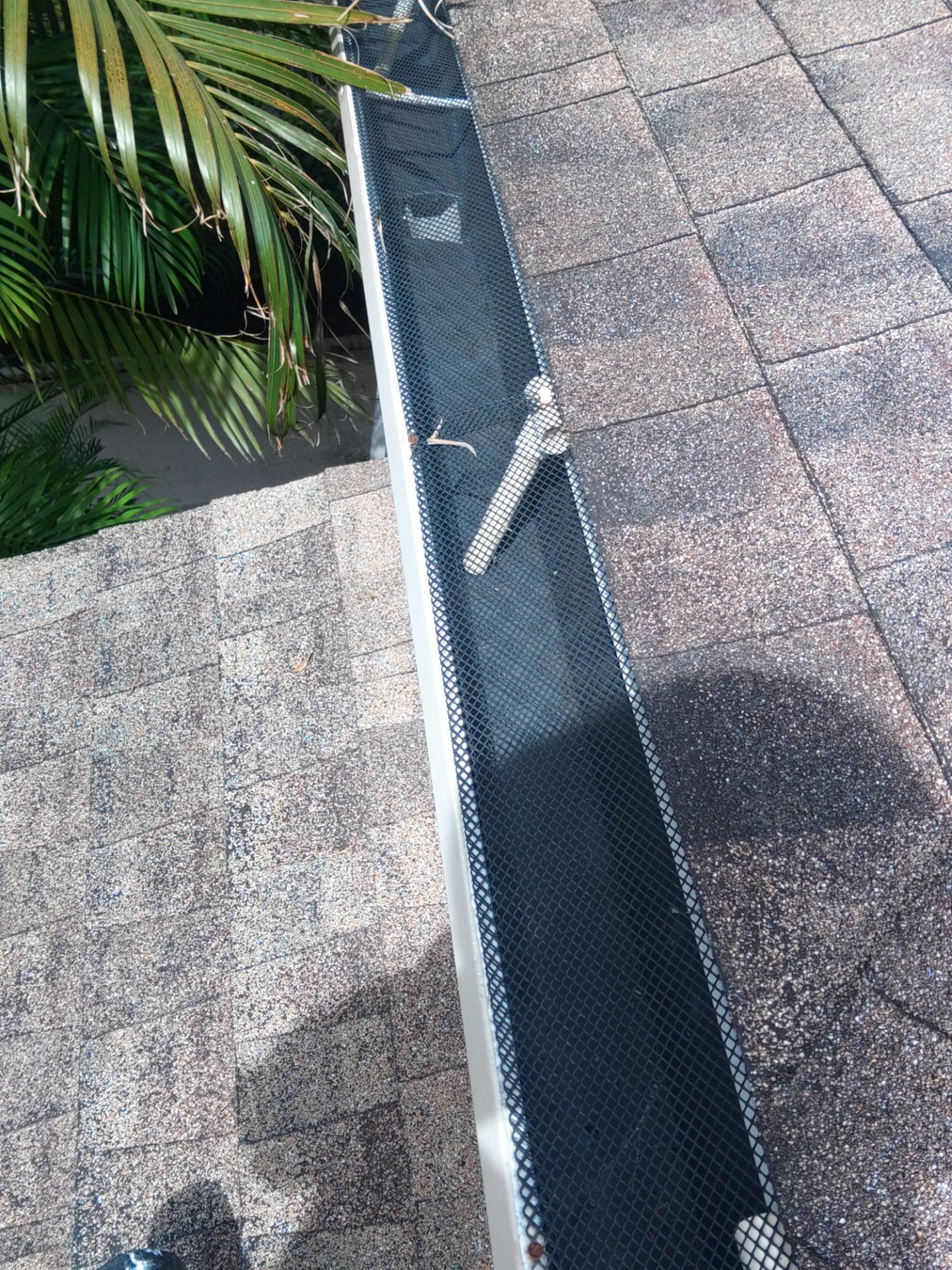 Seamless Gutter Cleaning Before the Rainy Season in Lehigh Acres, FL by Gutter Professors